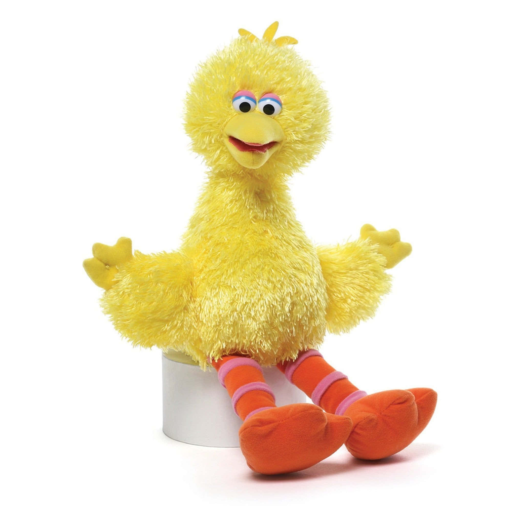 Big Bird 桌布 壁紙 — 一個毛茸茸的黃色大鳥毛絨玩具，開心地坐在白色底座上，有橙色的腳和條紋襪子。