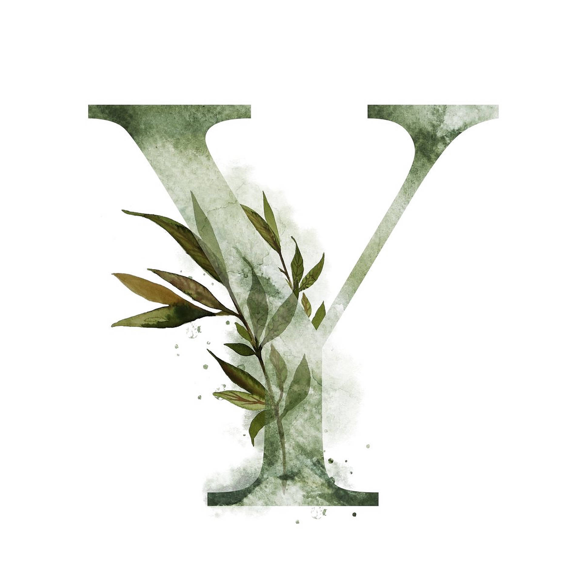 Y 桌布 壁紙 — 一個水彩字母Y，中間有綠色葉子穿過，背景為白色。