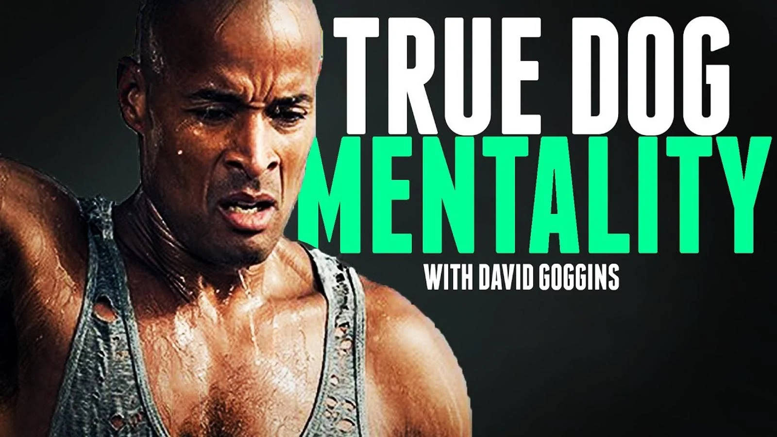 一個肌肉發達、表情堅定的男人穿著破爛背心，上面有文字true dog mentality with david goggins。 — 勵志動圖 壁紙