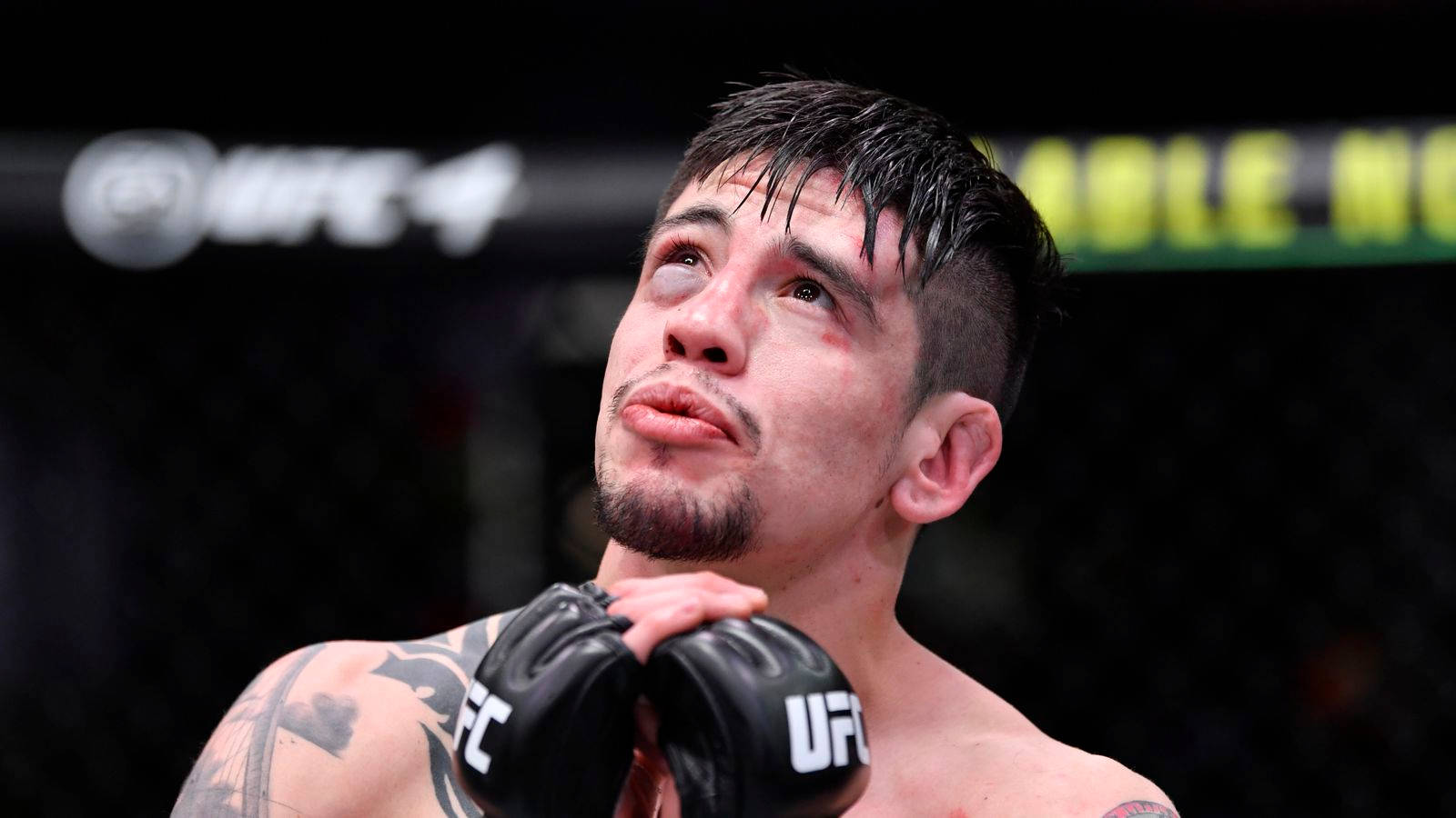 Brandon Moreno 桌布 壁紙 — 一個汗流浹背、有刺青的UFC拳手在八角籠中比賽後向上凝視。