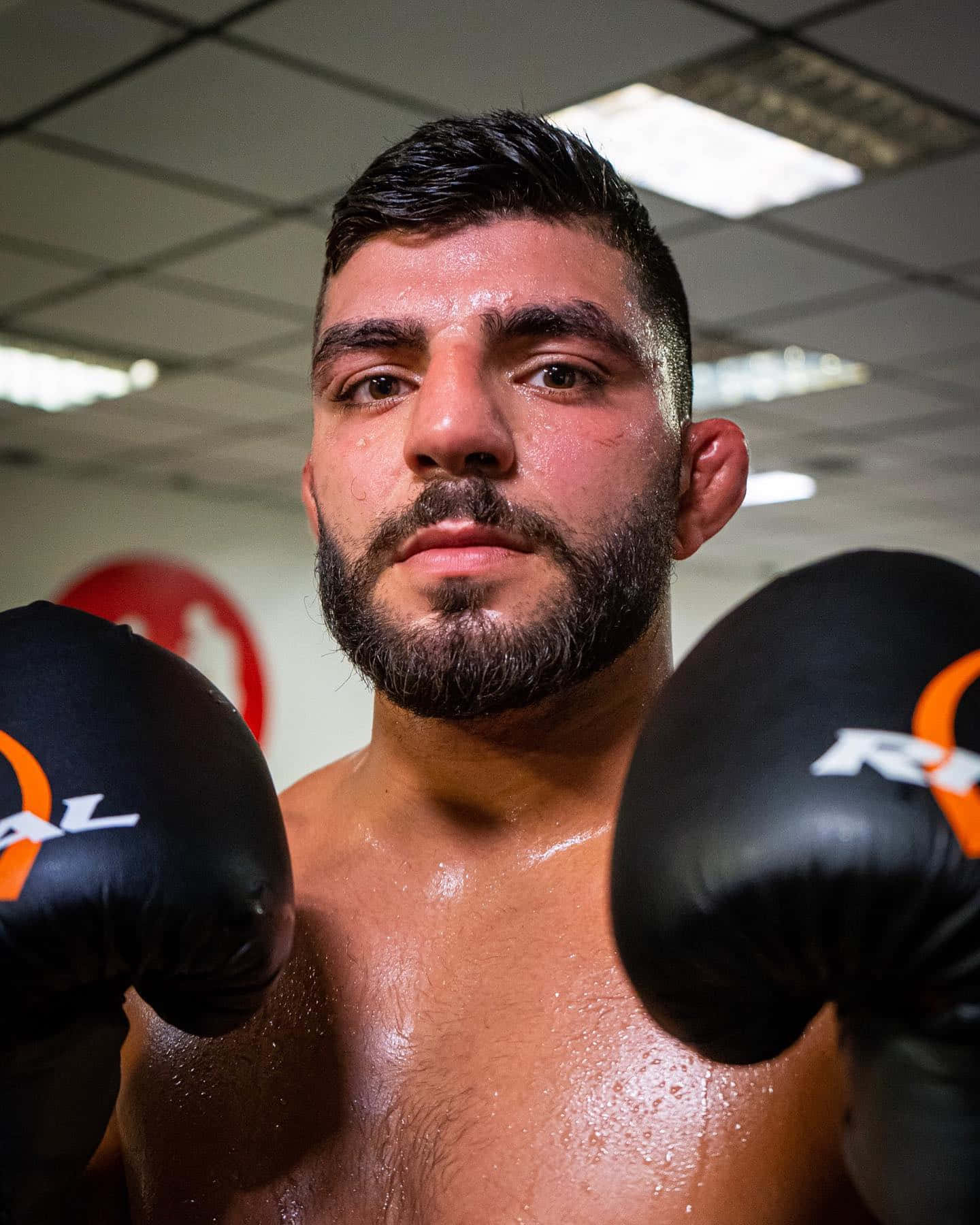 UFC 桌布 壁紙 — 一個汗流浹背、留鬍子的拳擊手在健身房舉起黑色手套，專注地凝視鏡頭。