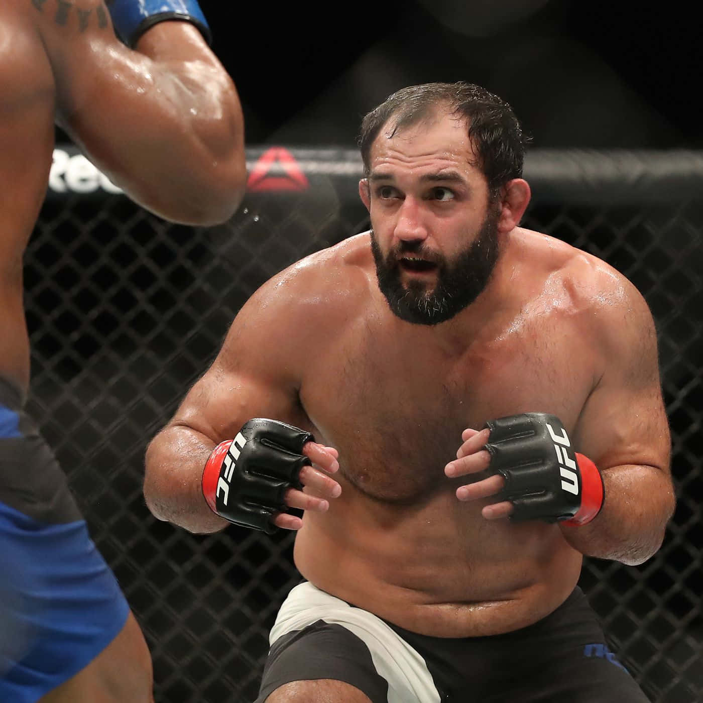UFC 桌布 壁紙 — 一個汗流浹背、留鬍鬚的MMA拳手戴著黑色手套，在八角籠內的UFC比賽中專注地凝視。