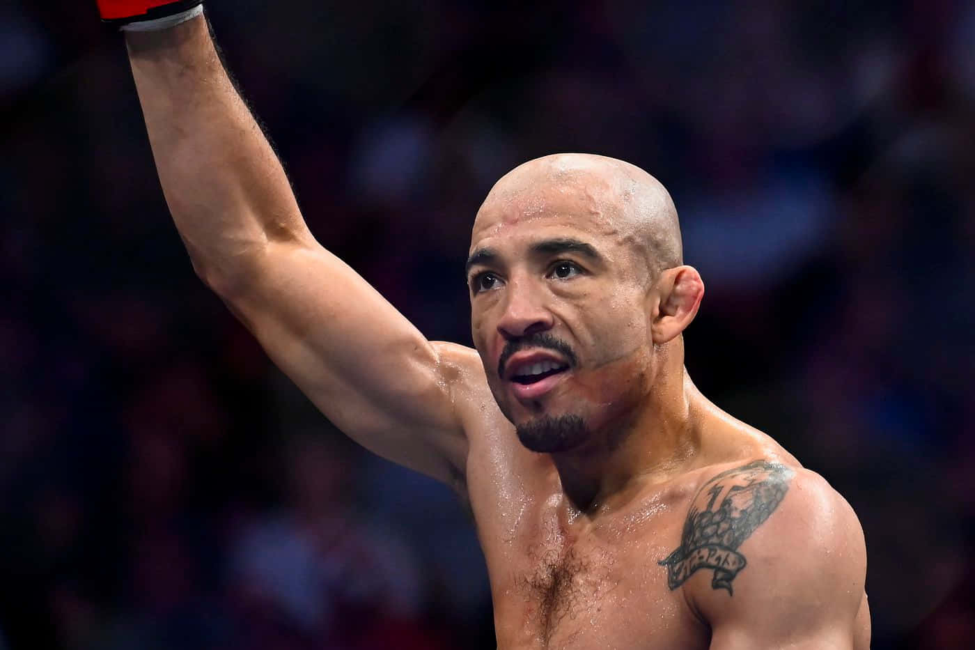 UFC 桌布 壁紙 — 一個汗流浹背的光頭拳擊手在昏暗的競技場中，模糊的觀眾背景下，舉起戴著手套的拳頭慶祝勝利。