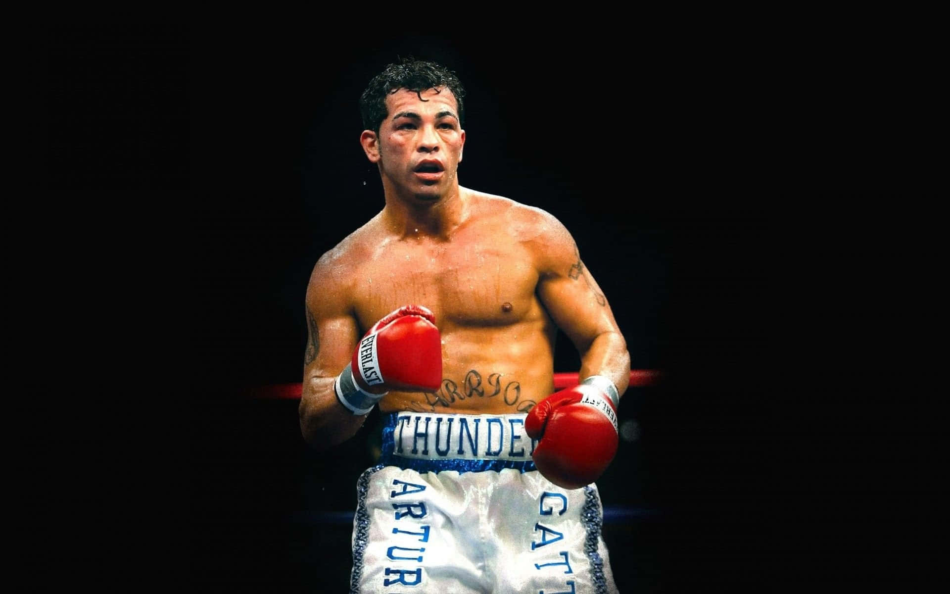 Boxing 桌布 壁紙 — 一個汗流浹背的拳擊手，戴著紅色手套和白色短褲，在明亮的燈光下警覺地站在黑暗的擂台上。
