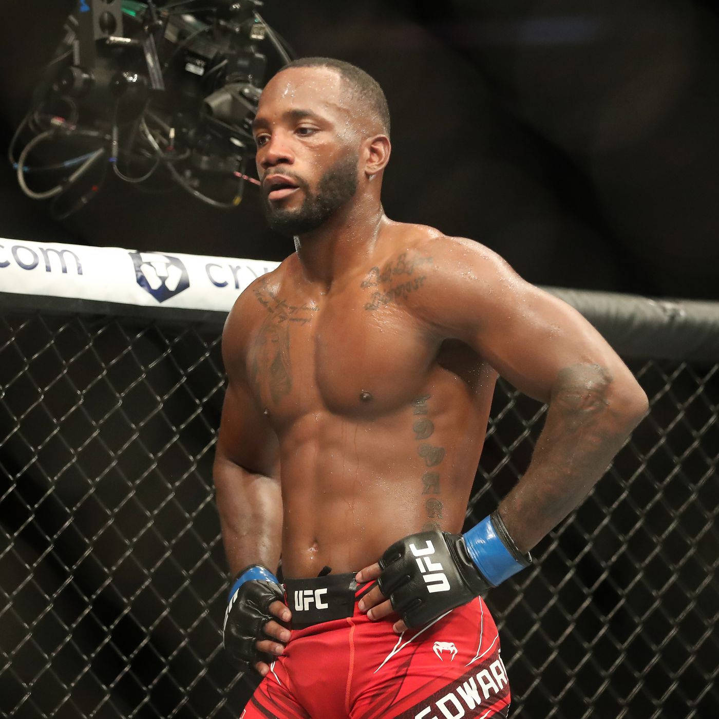 MMA 桌布 壁紙 — 一個汗流浹背的肌肉發達拳手，身穿紅色短褲和UFC手套，帶著專注的表情站在八角籠內。