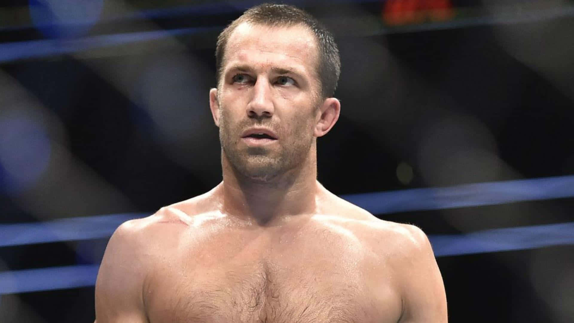 MMA 桌布 壁紙 — 一個汗流浹背的肌肉發達拳手在明亮的場館燈光下，帶著專注的強度站在拳擊台上。