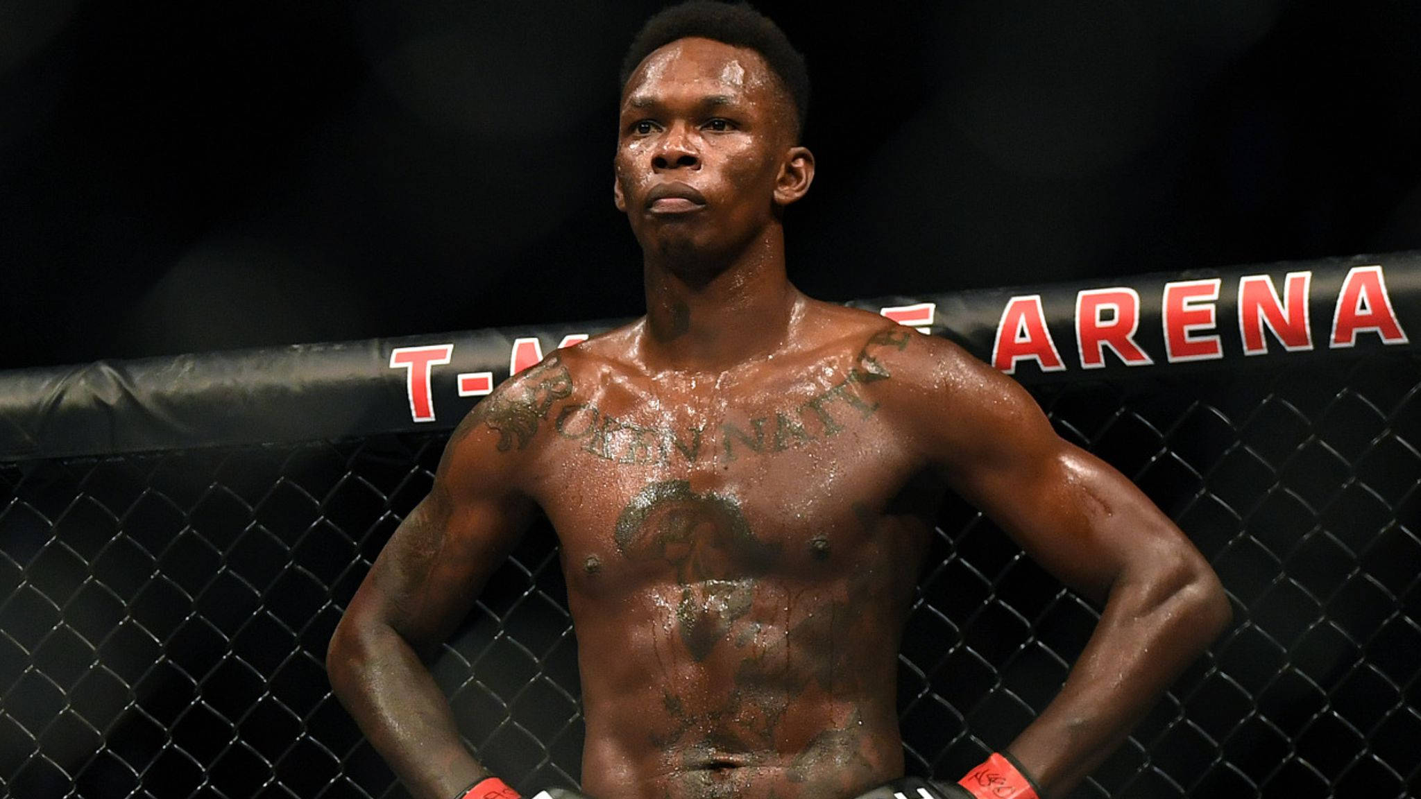 Adesanya 桌布 壁紙 — 一個汗流浹背的肌肉發達鬥士自信地站在燈光昏暗的MMA八角籠中，身後圍欄上可見「T-MAC ARENA」。