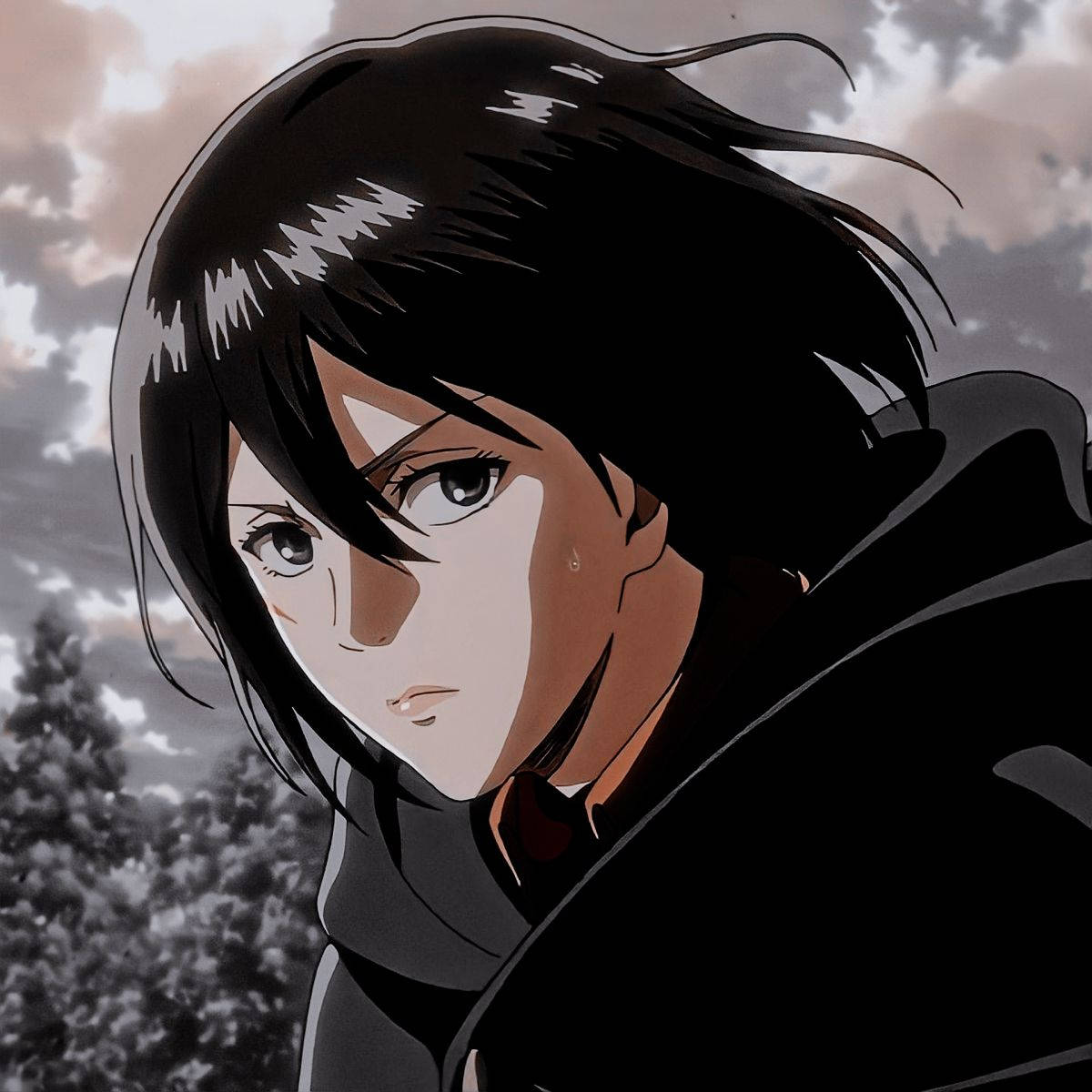 Mikasa Ackerman 桌布 壁紙 — 一個決心堅定的動漫女孩，黑髮帶淚，在陰雲密布的天空和樹木背景下凝視著。