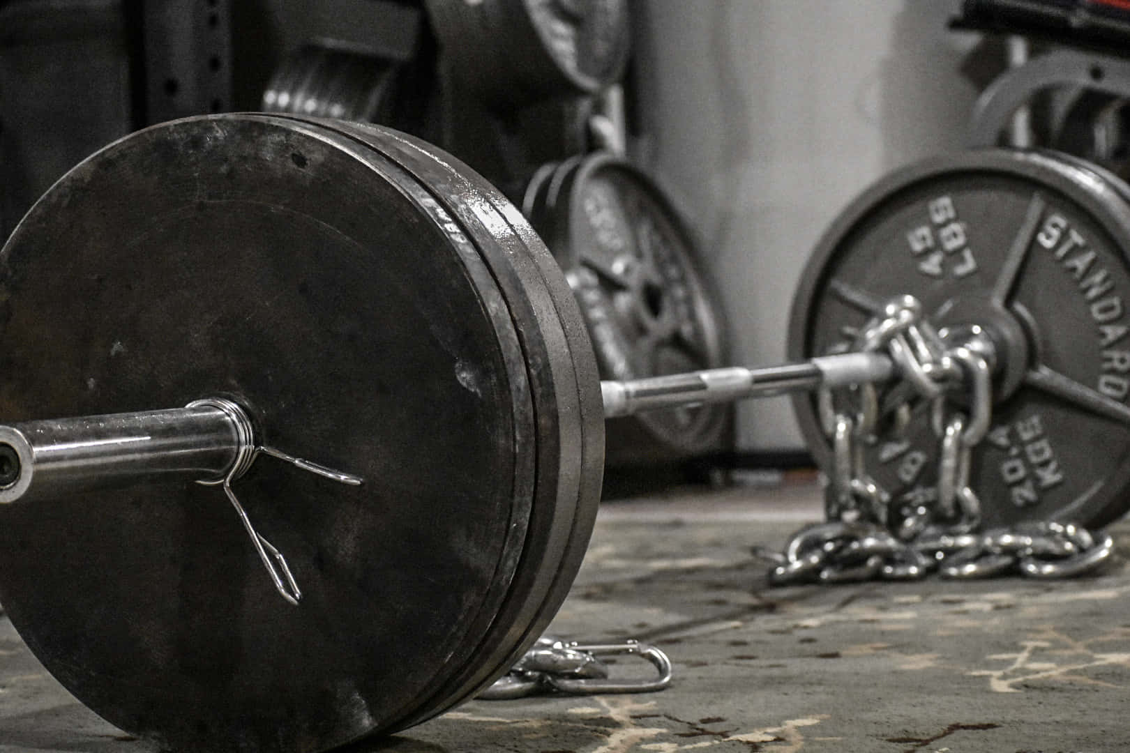 Barbell 桌布 壁紙 — 一個沉重的槓鈴連同槓片和鏈條以單色調放置在健身房地板上。
