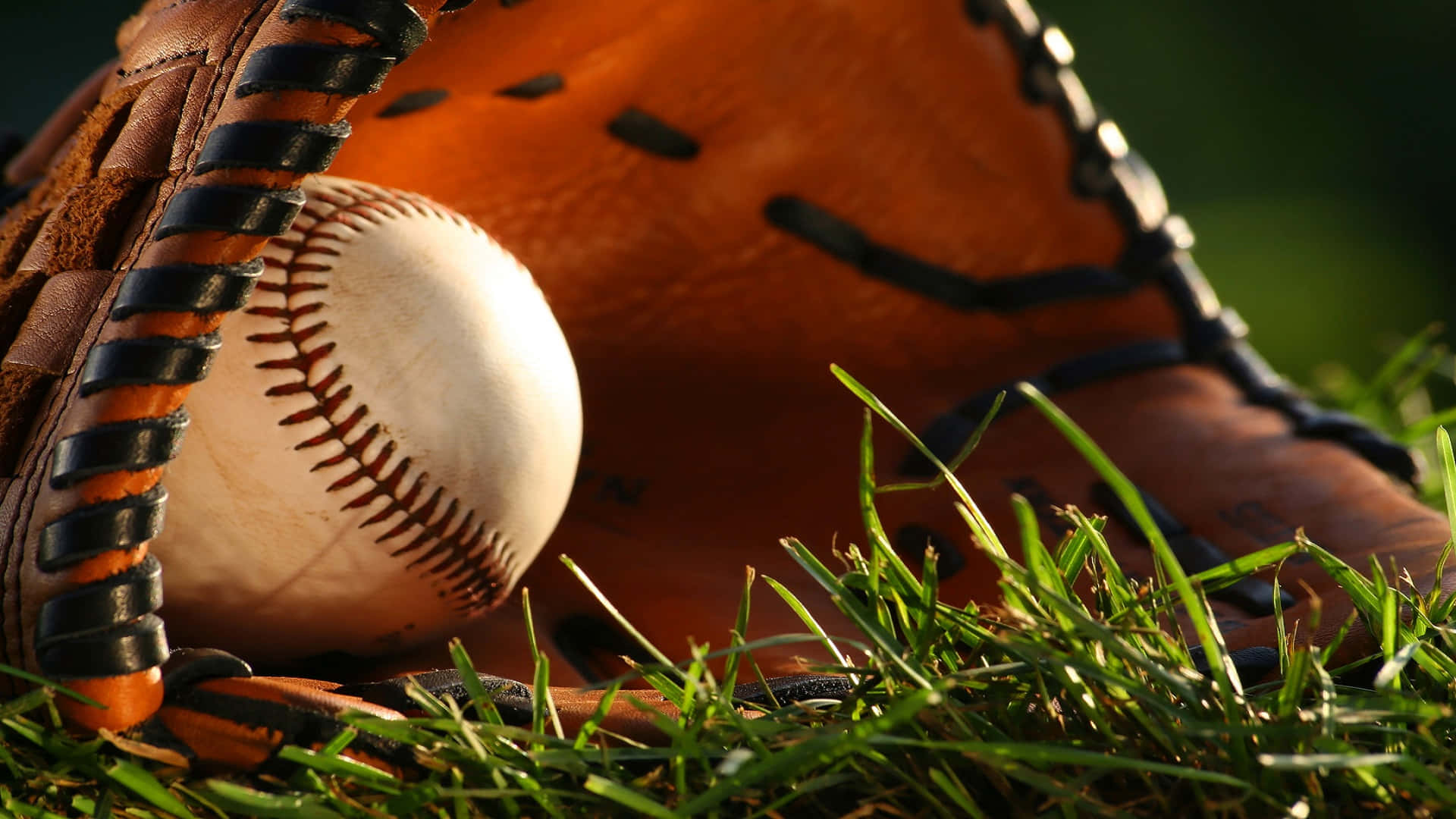Baseball Gloves 桌布 壁紙 — 一個沐浴在陽光下的棒球，靜靜地躺在皮革手套中，背景是翠綠的草地和柔和的散景效果。
