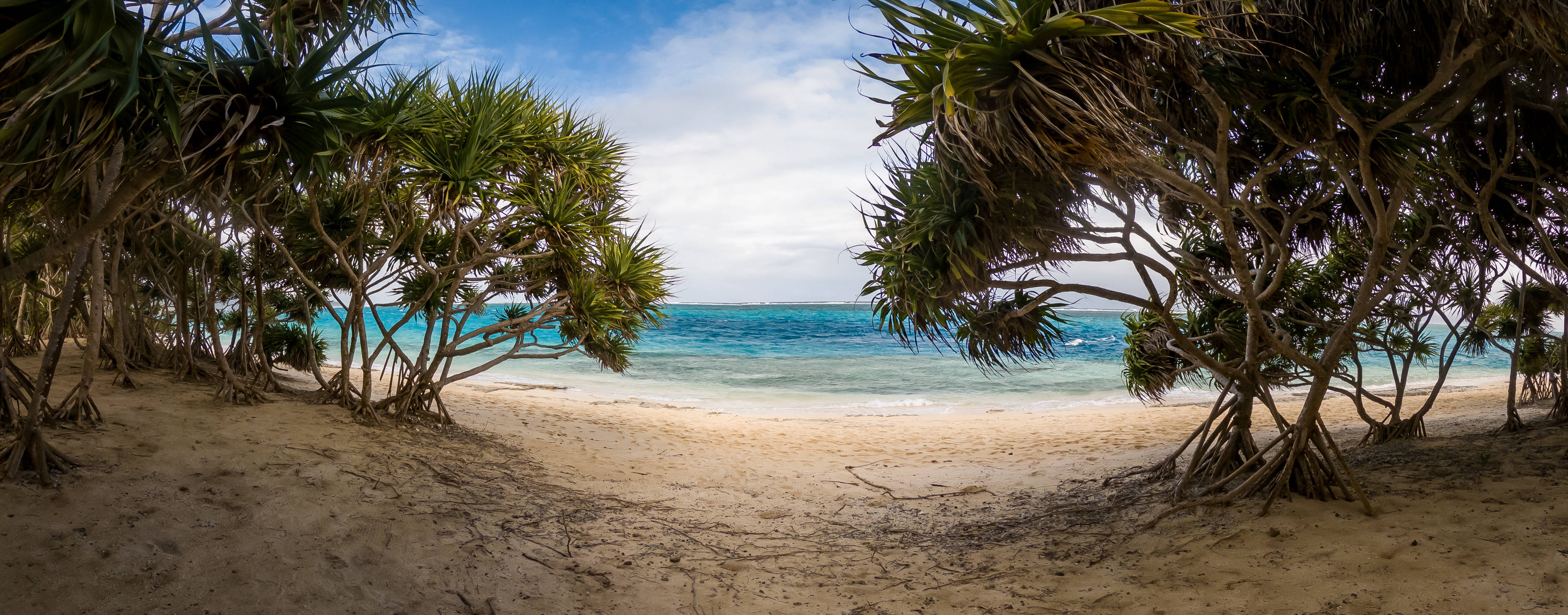 Vanuatu 桌布 壁紙 — 一個沙灘被茂密的熱帶樹木環繞，藍綠色的海洋延伸到明亮的藍天。