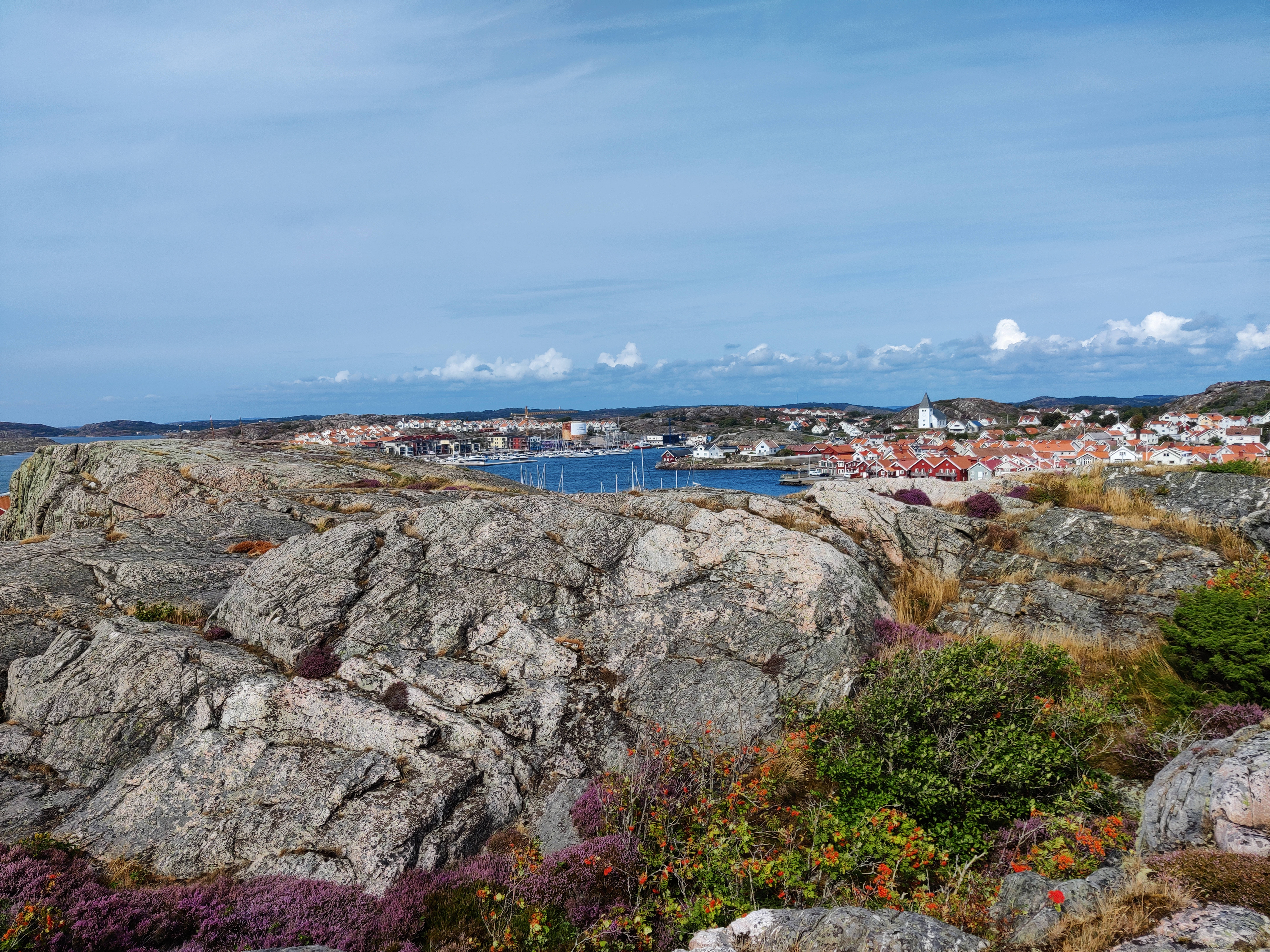 Sweden 桌布 壁紙 — 一個沿海村莊，紅頂房屋依偎在港口旁，從粗糙的灰色岩石上觀看，岩石上點綴著紫色和橙色的石楠花，天空部分多雲。