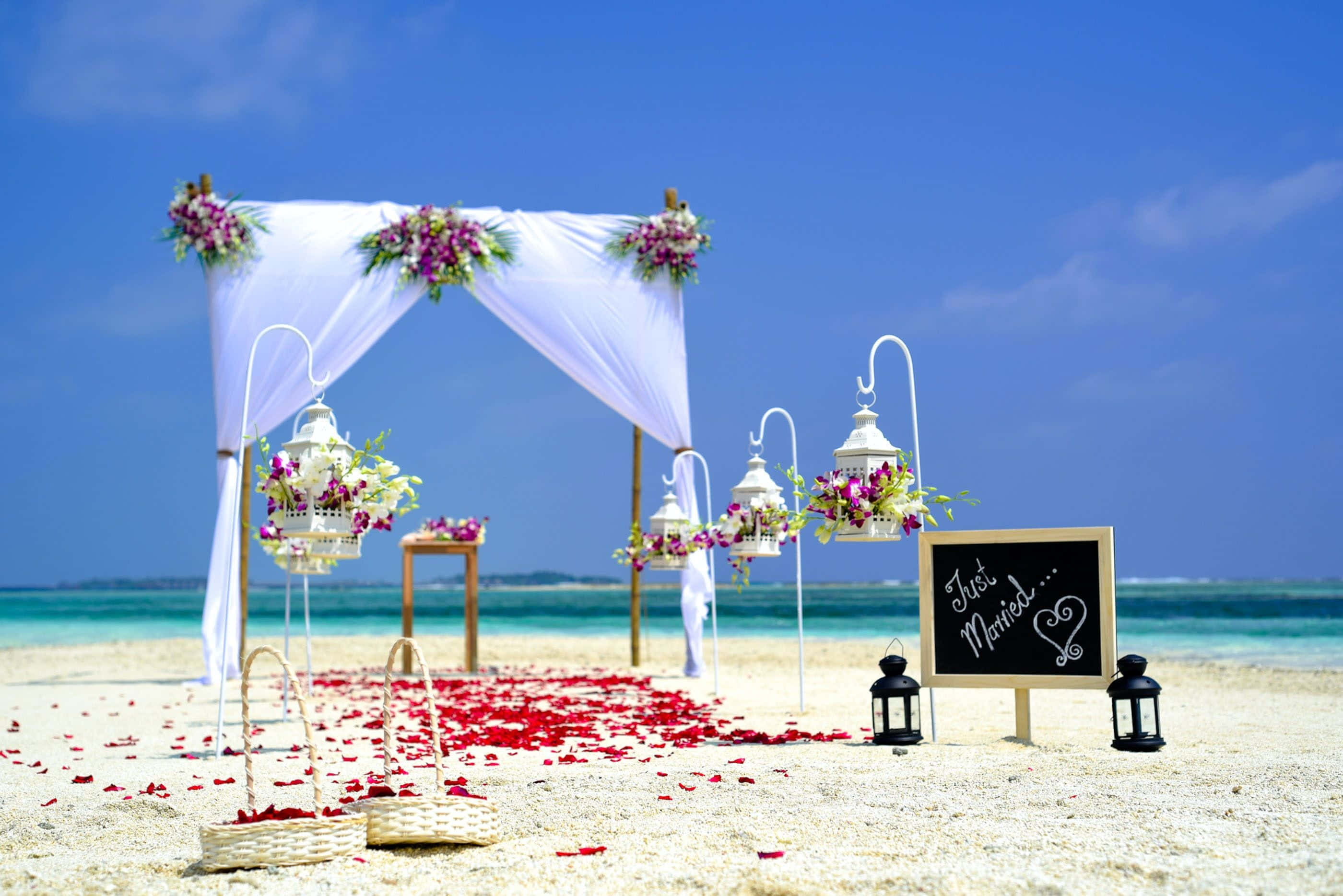 Wedding 桌布 壁紙 — 一個浪漫的海灘婚禮佈置，白色垂簾拱門裝飾著紫色花朵，紅色玫瑰花瓣散落在沙灘上，背景是清澈的藍天。