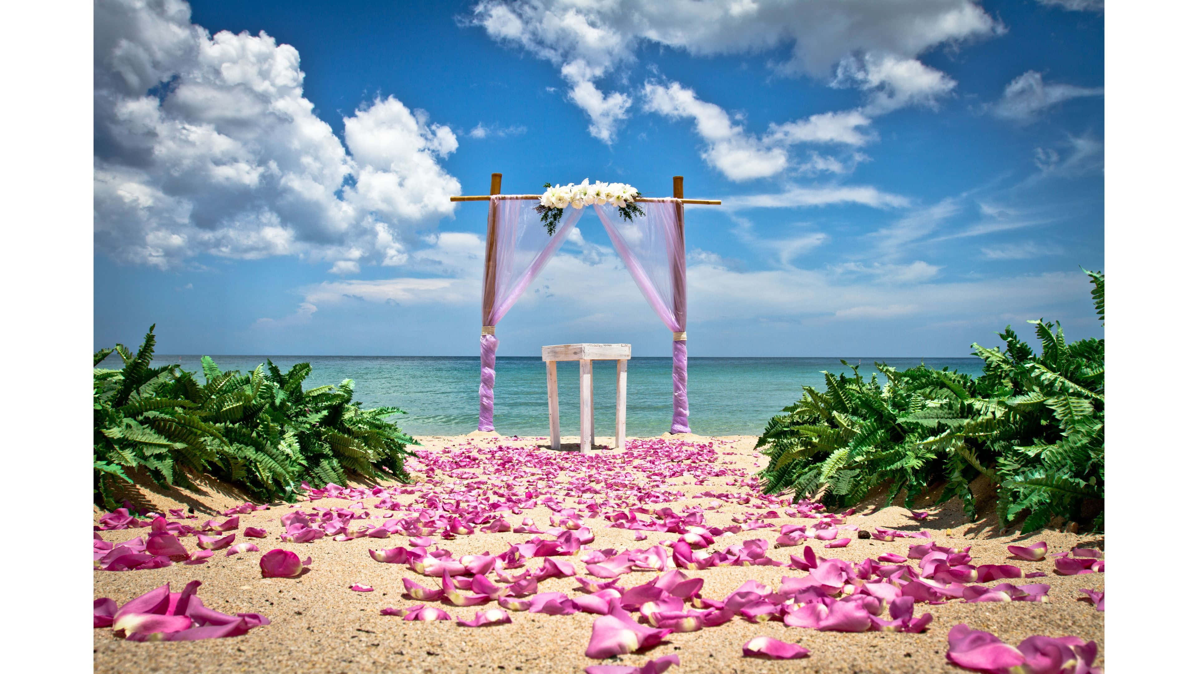 Wedding 桌布 壁紙 — 一個浪漫的海灘婚禮拱門，裝飾著粉紅色帷幔和白色鮮花，矗立在散落著粉紅色玫瑰花瓣的沙灘上，天空湛藍，白雲朵朵。