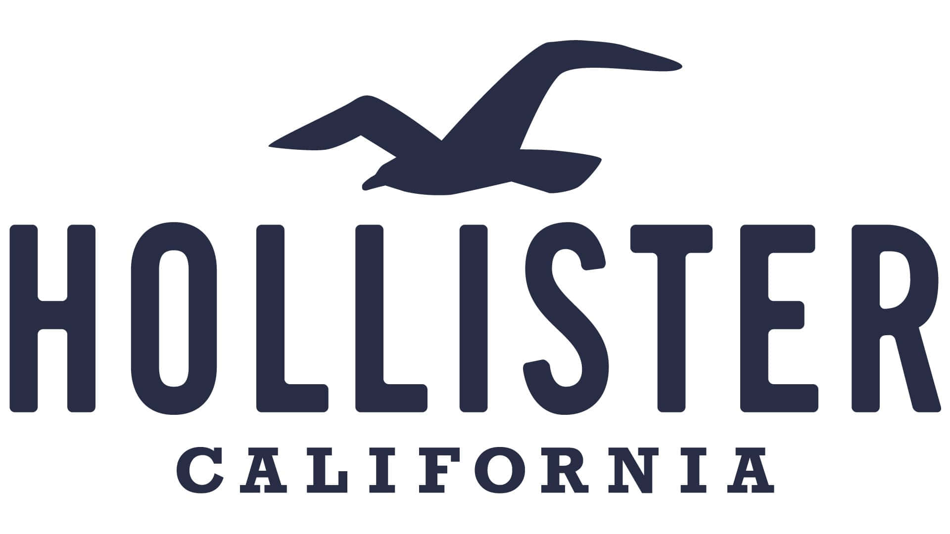 Hollister 桌布 壁紙 — 一個海軍藍色的 Hollister California 標誌，特色是一隻風格化的海鷗在粗體大寫文字上方飛翔，背景為潔淨的白色。