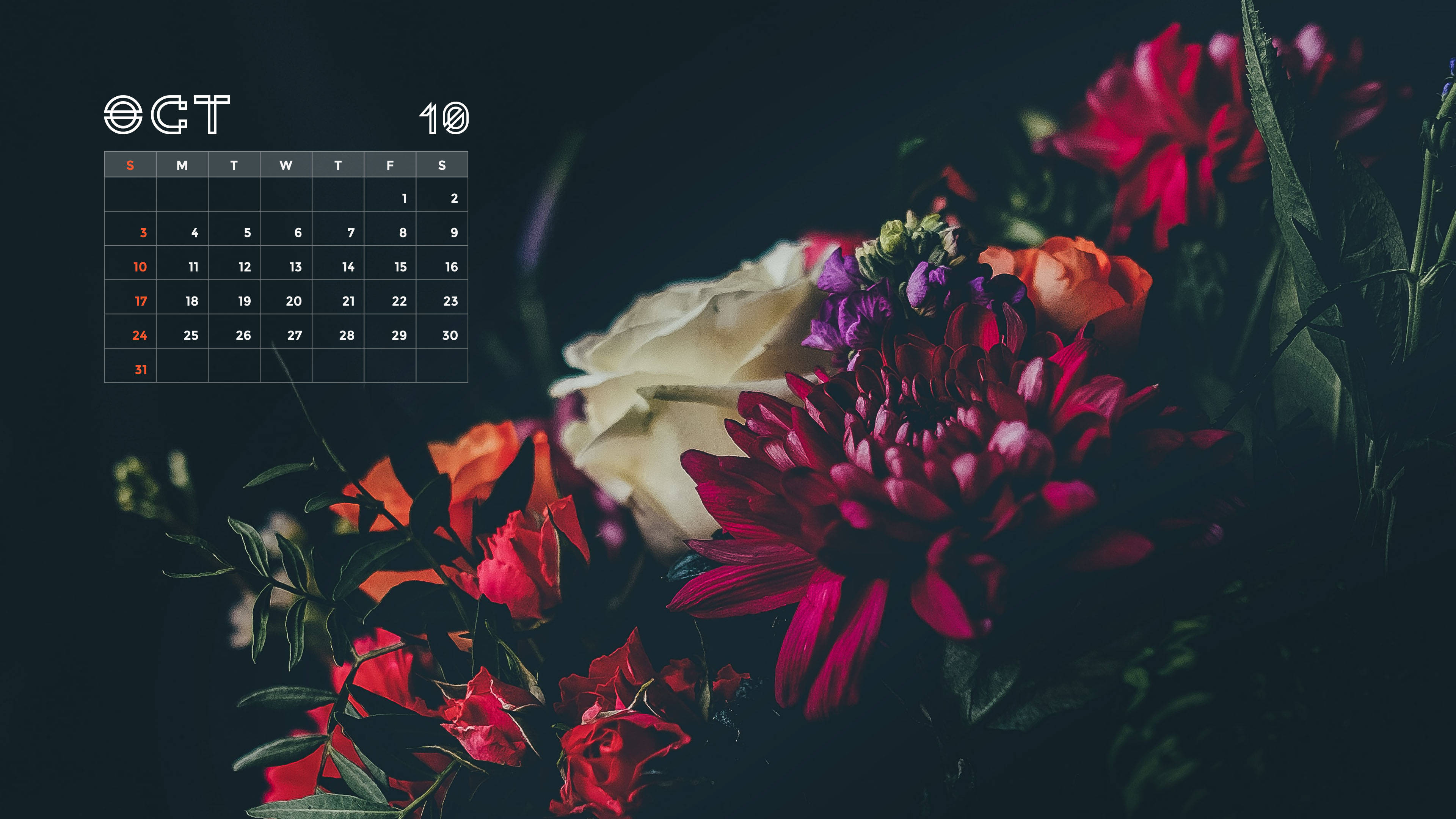 October 桌布 壁紙 — 一個深色主題的10月10日日曆疊加在充滿活力的紅、橙、白色花束上，帶有深色陰影。