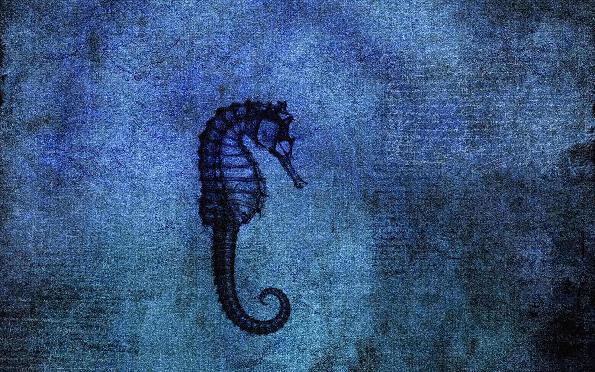 海馬 桌布 壁紙 — 一個深色海馬剪影，立於帶有細微裂紋和褪色文字的紋理藍色水下背景前。