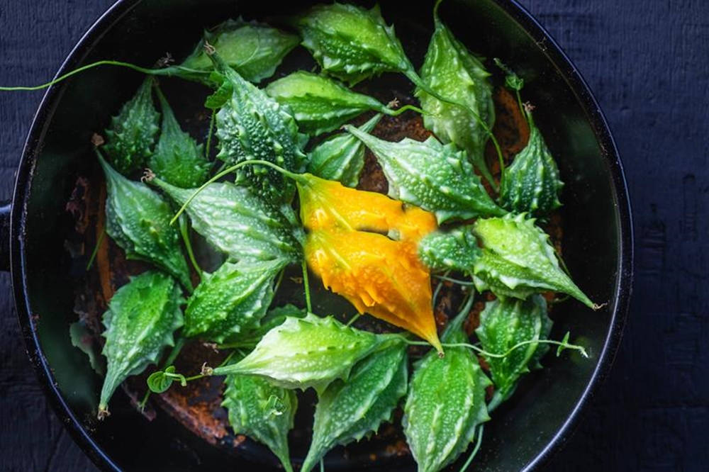 Food Photography 桌布 壁紙 — 一個深色碗中盛放著鮮綠色的苦瓜果實，其中夾雜著一朵亮黃色的花。