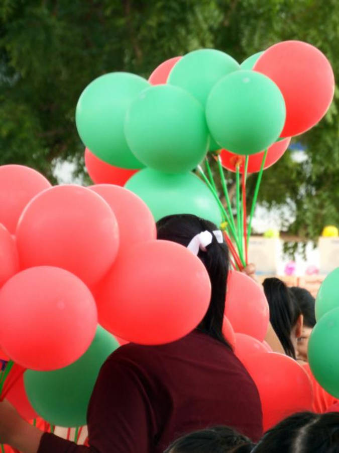 Balloons 桌布 壁紙 — 一個深色頭髮、戴白色蝴蝶結的人，在綠色樹木的背景下，拿著一束紅色和綠色的氣球。