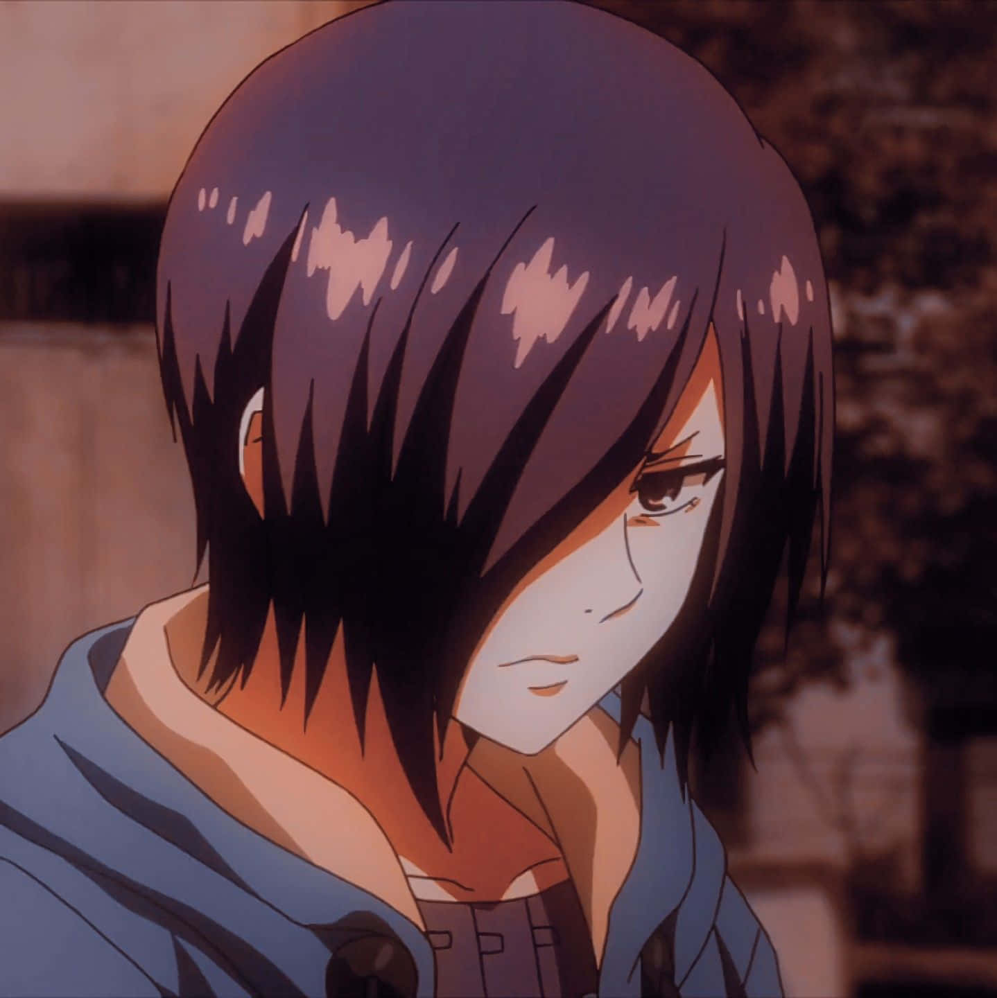 Touka Kirishima 桌布 壁紙 — 一個深色頭髮、穿著藍色連帽衫的動漫角色特寫，在溫暖色調、柔和模糊的背景中向下凝視。