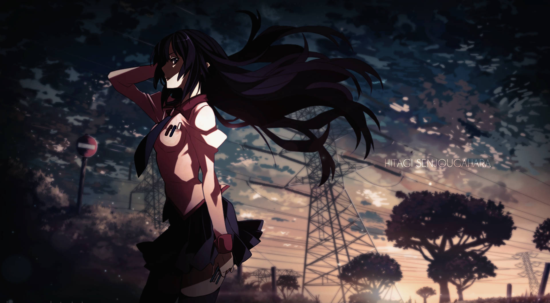 Monogatari 桌布 壁紙 — 一個深色頭髮的動漫女孩站在暮色田野中，電線和樹木在發光的天空下形成剪影。