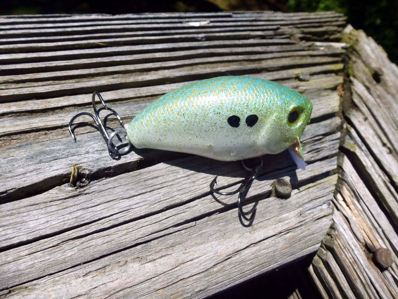 Fishing Bait 桌布 壁紙 — 一個淺綠色魚餌，帶有黑色眼睛和三叉鉤，在明亮的陽光下擱在風化的木板上。