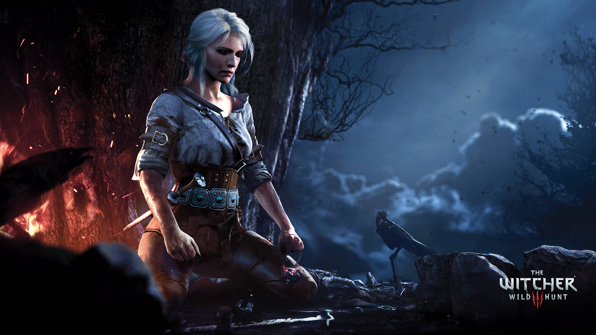 Witcher 桌布 壁紙 — 一個淺色頭髮的獵魔士跪在營火旁，在暴風雨的夜空下，附近有一隻烏鴉棲息。