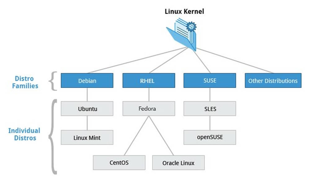 Kernel 桌布 壁紙 — 一個清晰的圖表，顯示 Linux 核心分支為主要發行版系列和個別發行版，帶有清晰的標籤和連接線。