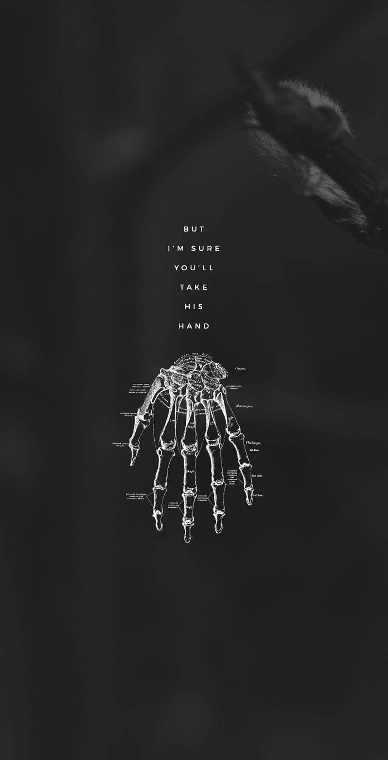 Ghostemane 桌布 壁紙 — 一個清晰的解剖學手部圖表漂浮在黑暗背景上，帶有模糊的動物剪影和文字『但我肯定你會握住他的手』。