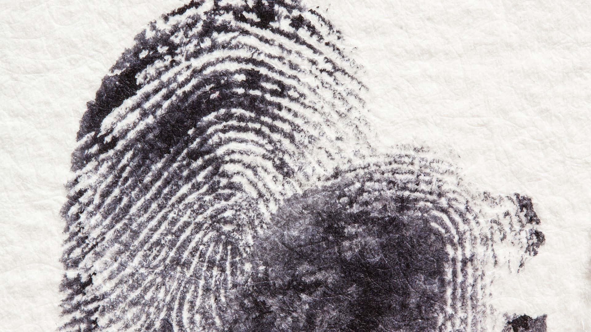 Fingerprint 桌布 壁紙 — 一個清晰的黑色指紋印在有紋理的白色紙上，可見脊線和漩渦。