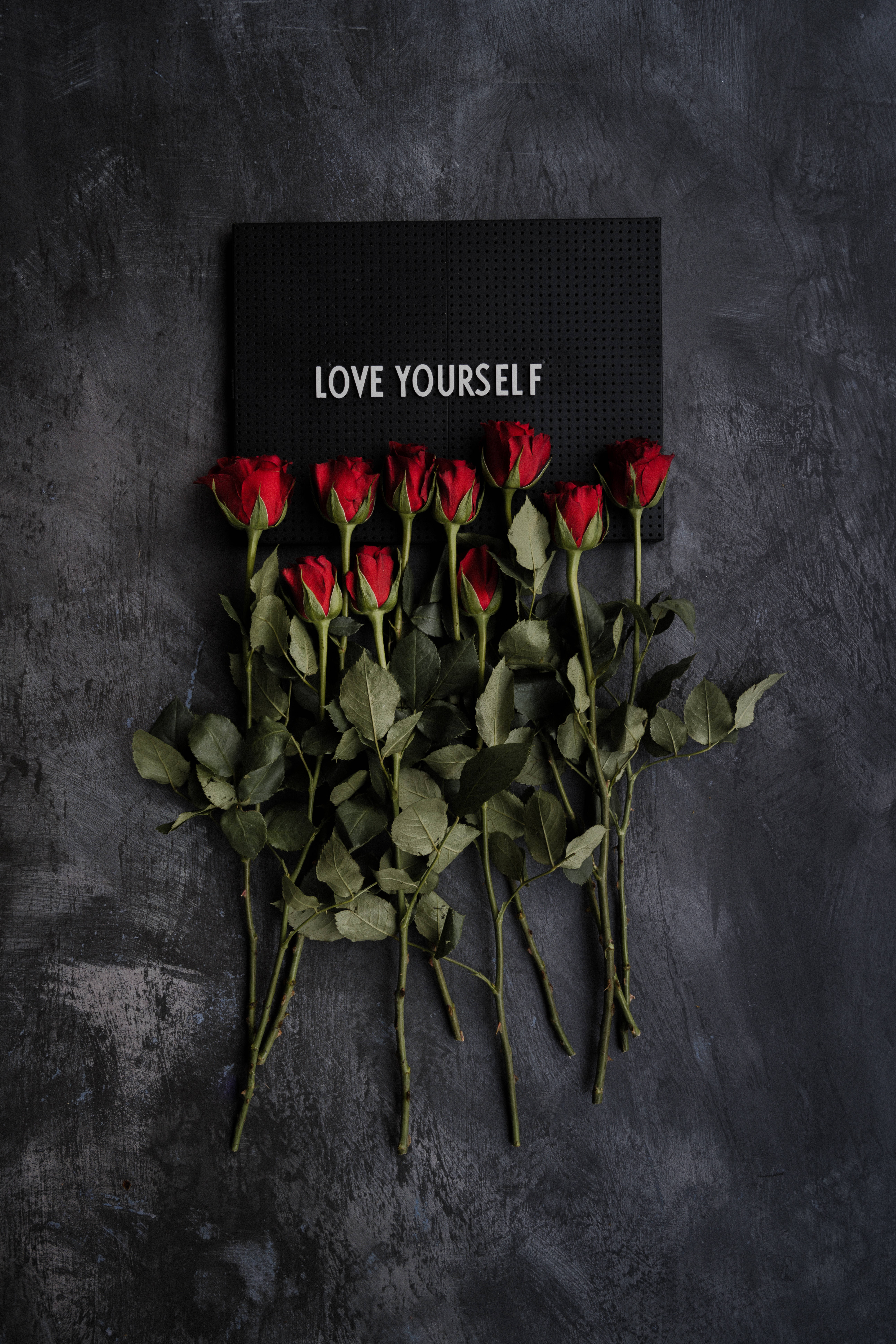 激勵 桌布 壁紙 — 一個清晰的黑色標牌上寫著 love yourself，被鮮豔的紅玫瑰環繞，背景是帶有紋理的深灰色牆壁。