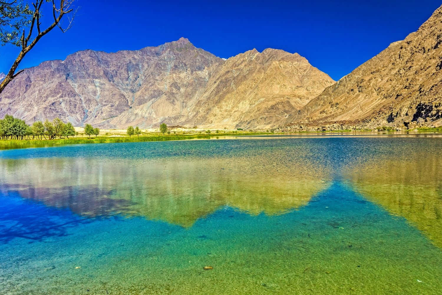 Pakistan 桌布 壁紙 — 一個清澈如水晶的碧綠湖泊，映照著崎嶇的棕色山脈，在湛藍的天空下，岸邊稀疏點綴著綠樹。