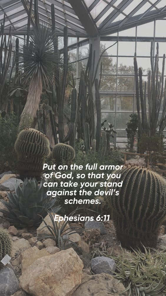 Armor Of God 桌布 壁紙 — 一個溫室，玻璃板下種滿高大的仙人掌和多肉植物，並疊加了一節聖經經文。