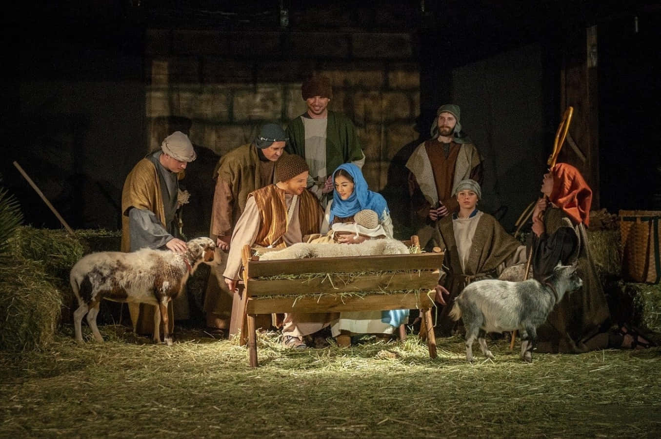 Nativity 桌布 壁紙 — 一個溫暖照明的耶穌誕生場景，人物聚集在一個懷抱嬰兒的馬槽周圍，兩側有兩隻山羊在簡陋的馬廄中。