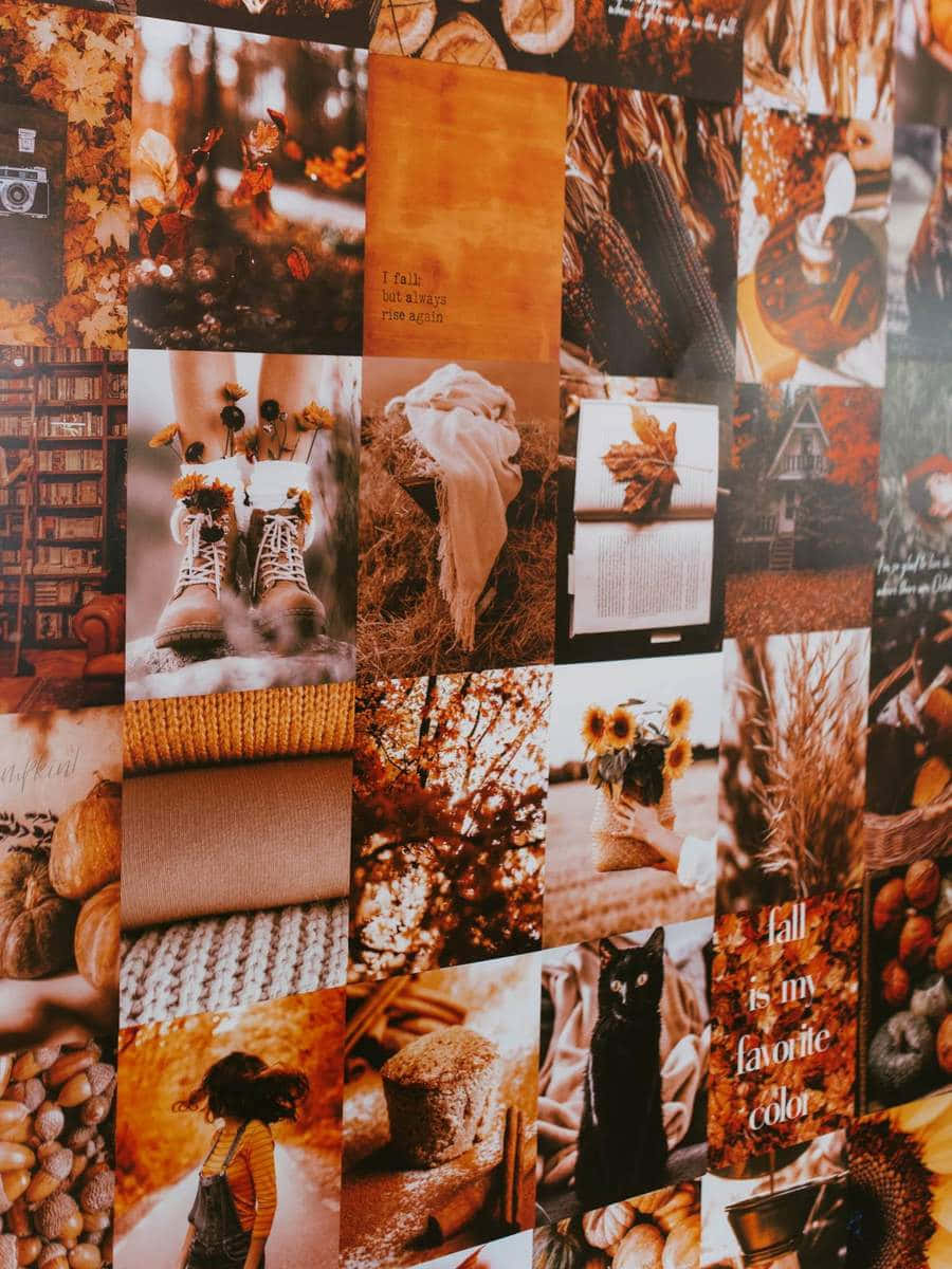 Autumn Collage 桌布 壁紙 — 一個溫暖的秋季主題拼貼牆， featuring 靴子、向日葵、南瓜和金色琥珀色調的舒適質感的照片。