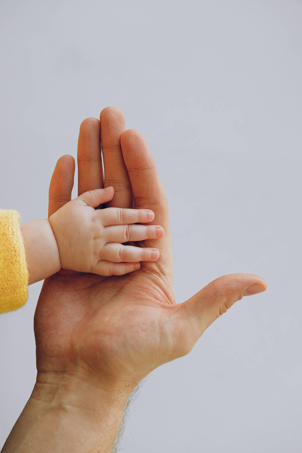hands 桌布 壁紙 — 一個溫柔的時刻，孩子的小手輕輕放在成人較大的手掌上，背景是柔和的灰色。