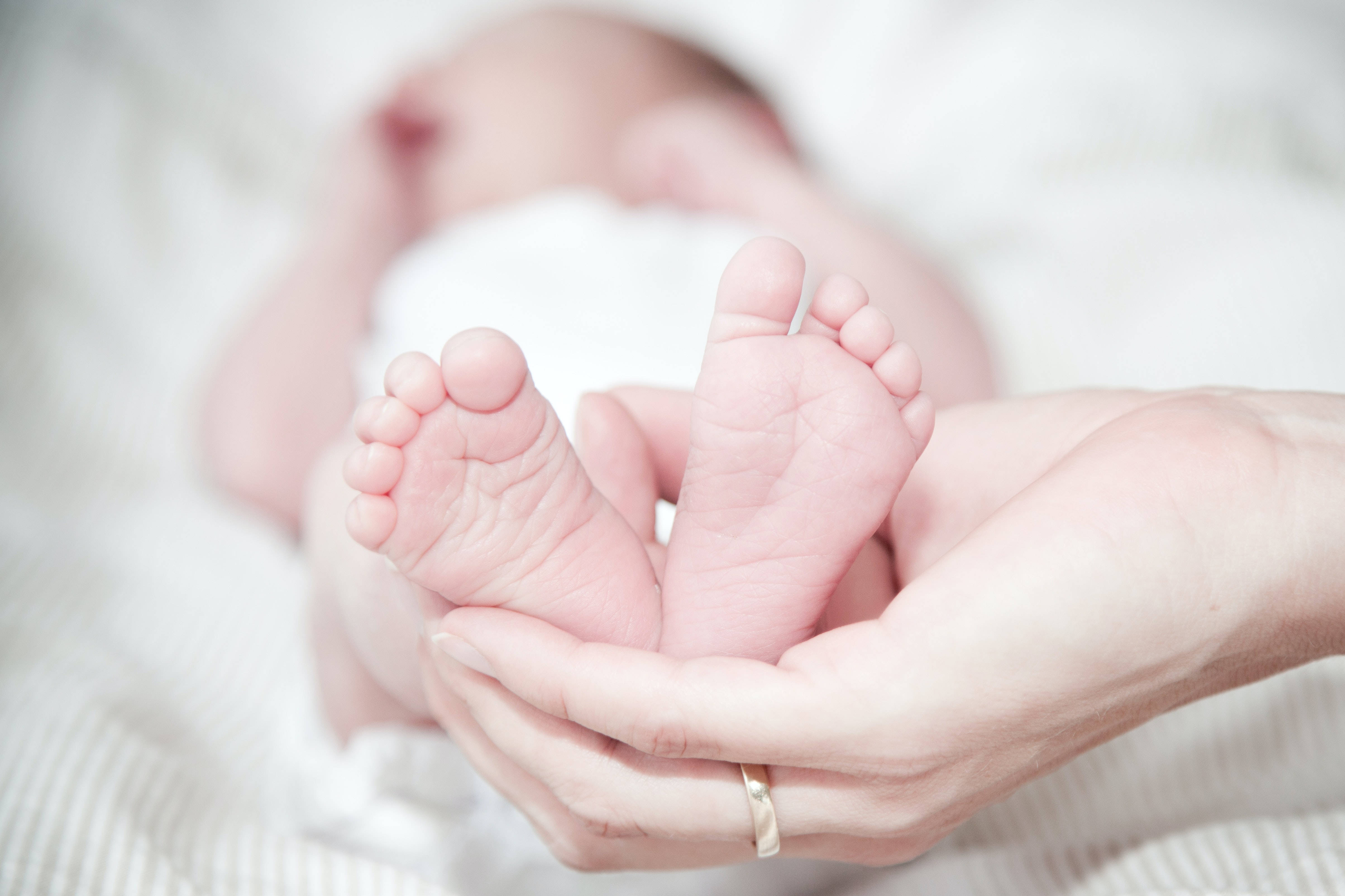 Newborn 桌布 壁紙 — 一個溫柔的特寫鏡頭，成年人的雙手捧著新生嬰兒的小腳，靠在柔軟的白色毯子上。