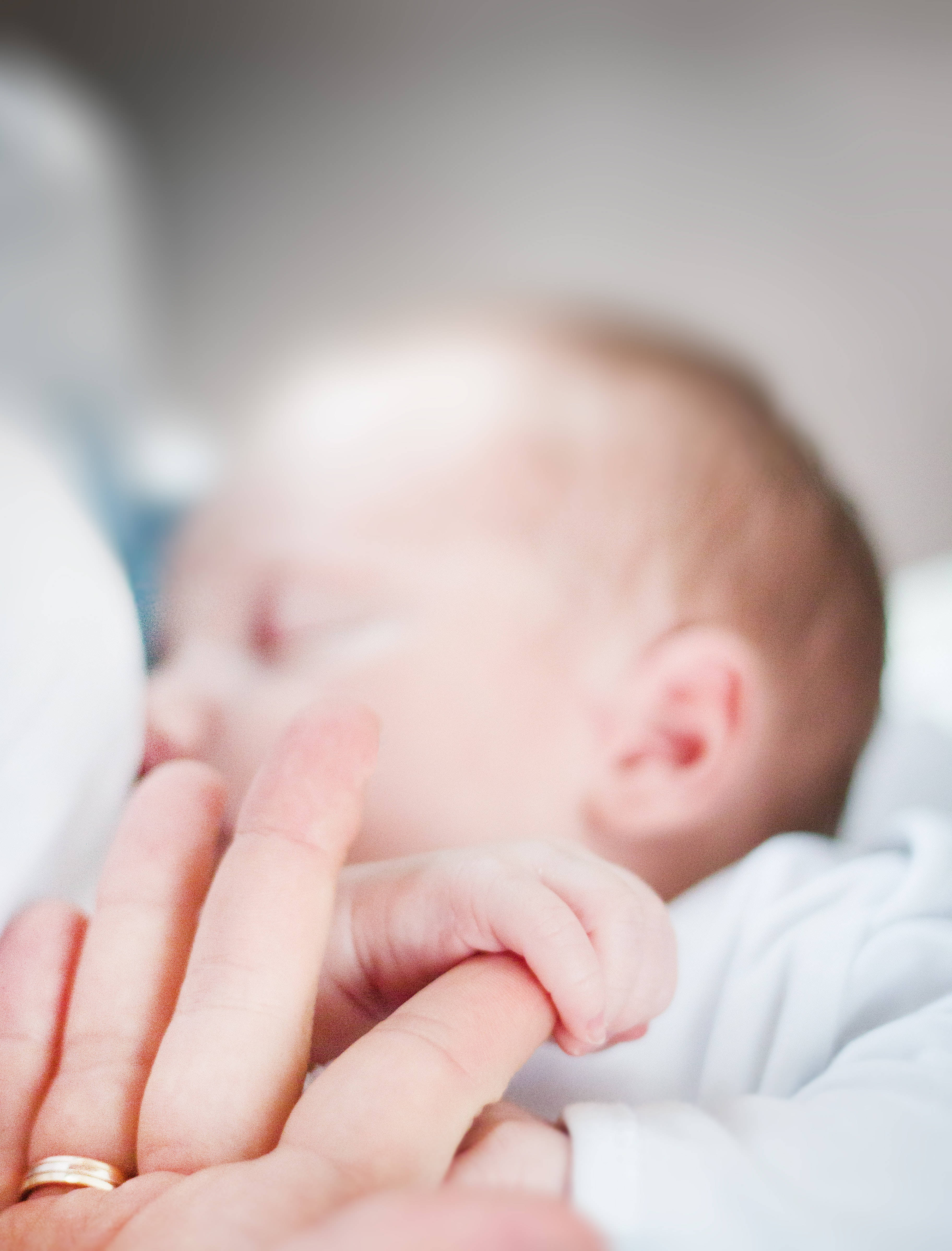 Newborn 桌布 壁紙 — 一個溫柔的特寫鏡頭，熟睡的新生嬰兒的手輕輕握住成人的手指，柔焦效果。