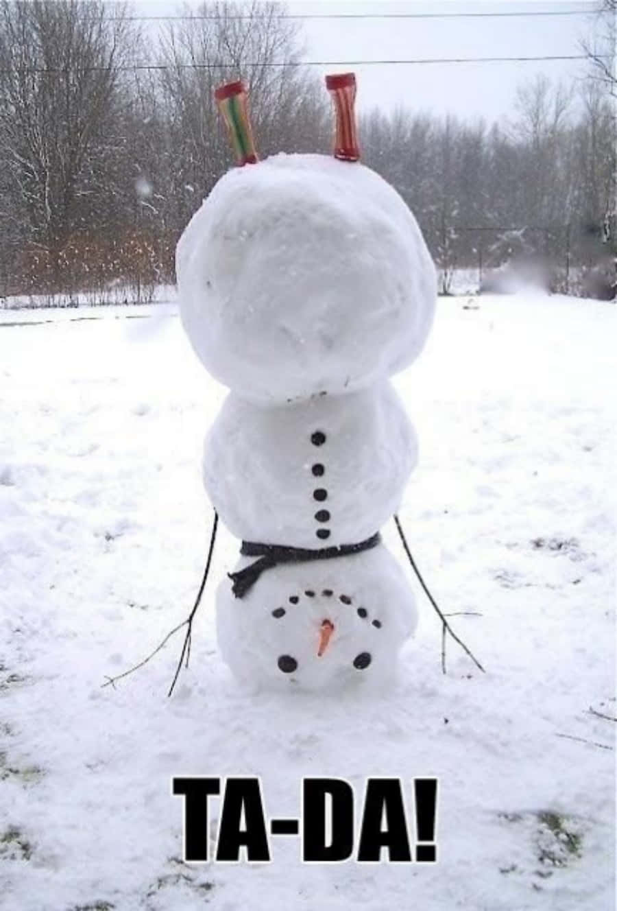 雪人 桌布 壁紙 — 一個滑稽圓潤的雪人，擁有糖果手杖手臂和樹枝腿，自豪地站在雪地庭院中，附有「TA-DA!」標題。