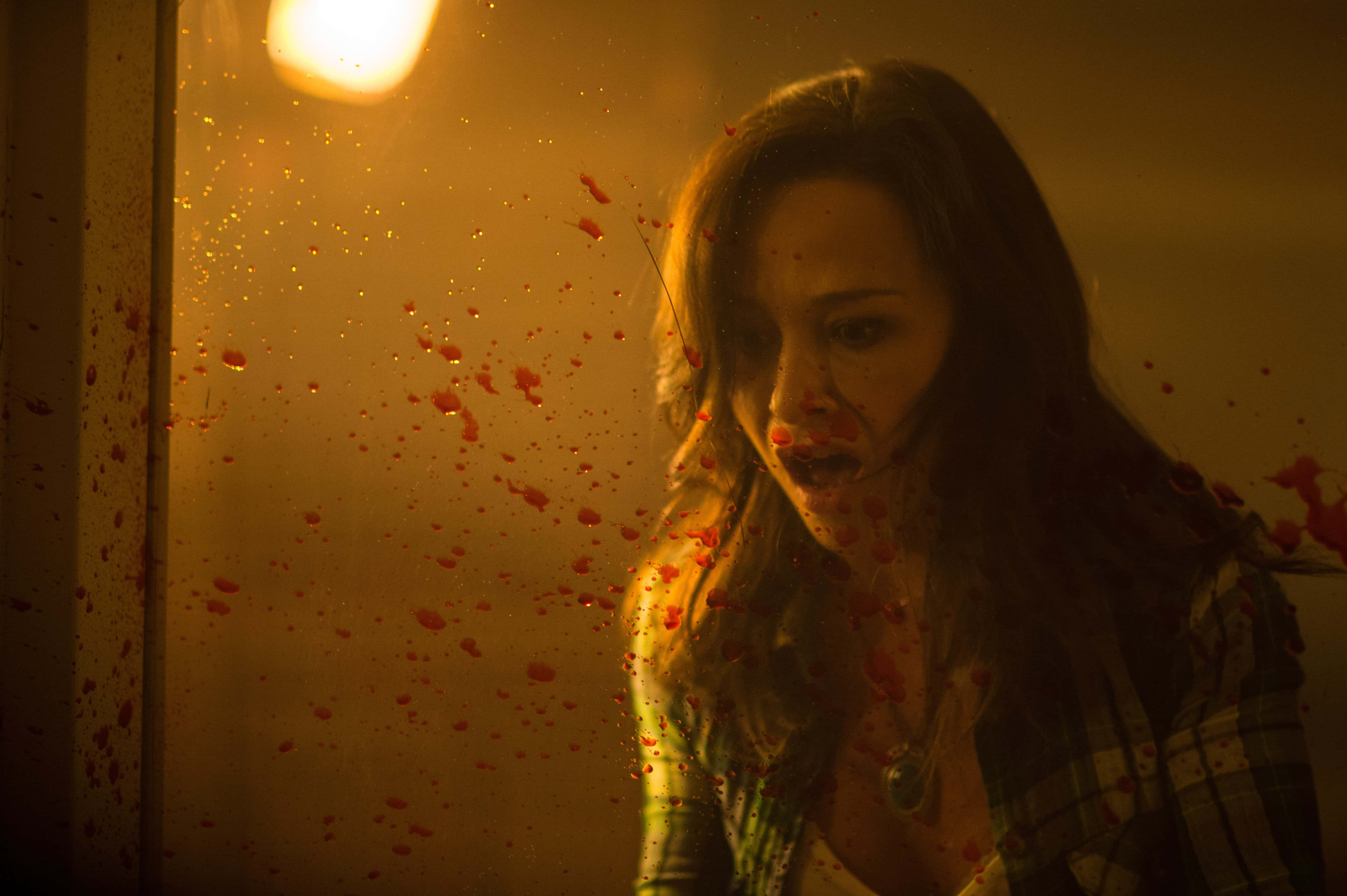 Danielle Harris 桌布 壁紙 — 一個滿身鮮血、驚恐萬分的女人，在單一溫暖的頭頂燈光下，透過濺滿污漬的玻璃門凝視著。