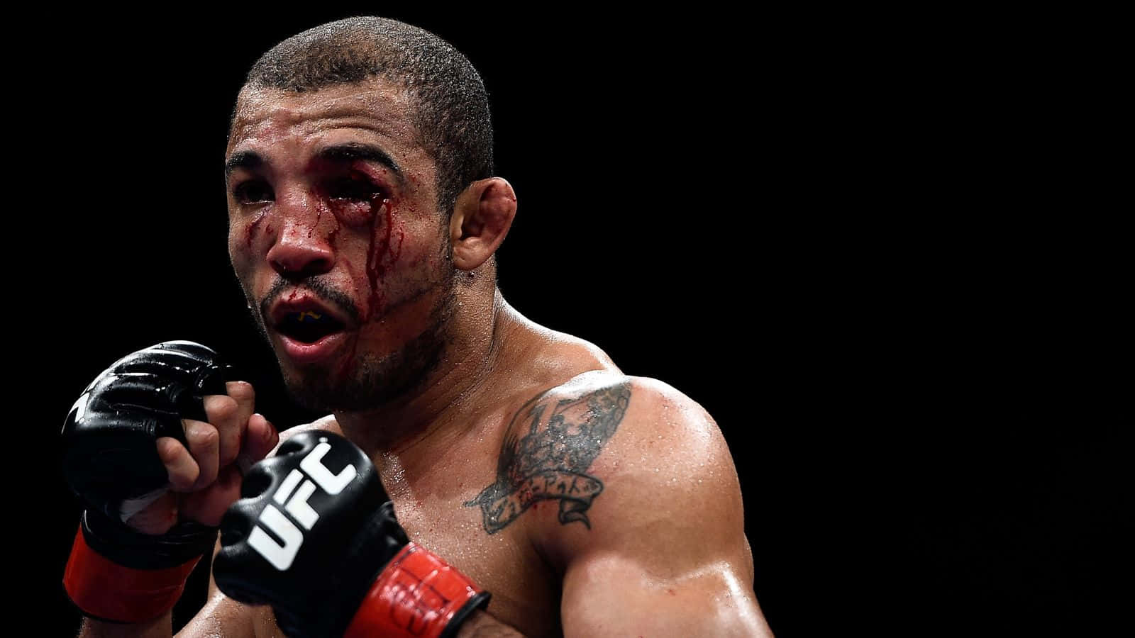 UFC 桌布 壁紙 — 一個滿身鮮血的UFC拳手，肩上帶有刺青，在黑色背景前勝利咆哮。