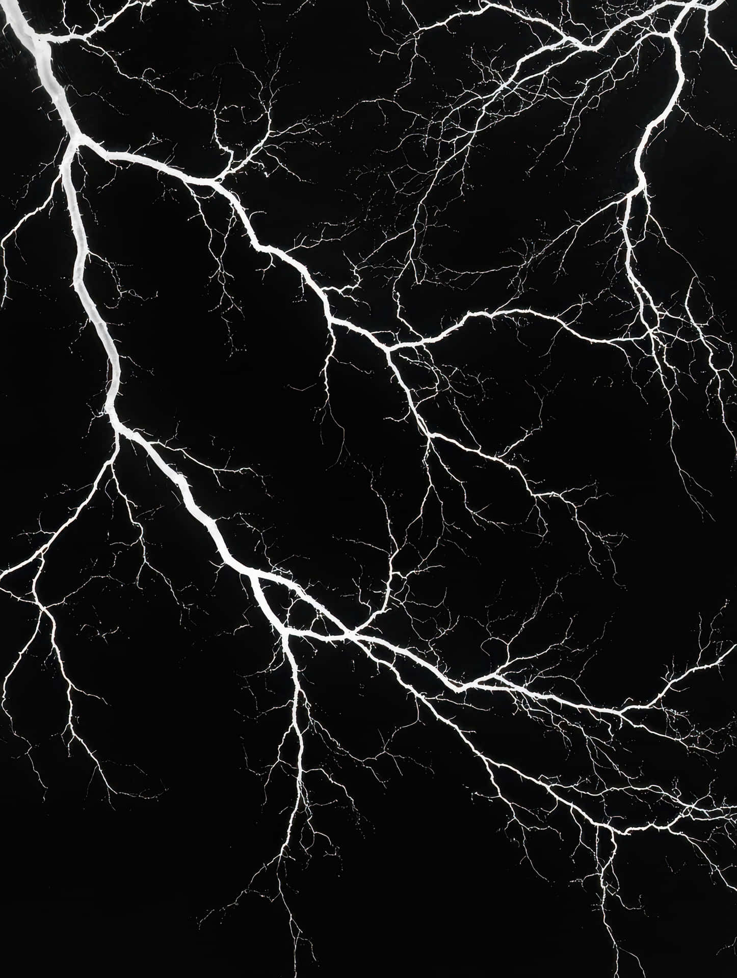 Lightning Bolts on a Black Background 壁紙 — 一個漆黑的背景，被複雜的白色閃電照亮，以混亂的圖案分支。