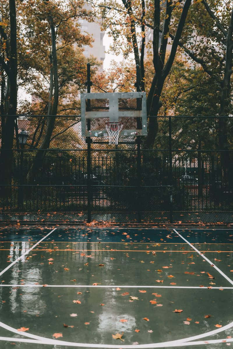 Basketball Court 桌布 壁紙 — 一個濕漉漉的籃球場，覆蓋著秋天的落葉，一個風化的籃框被高大的樹木環繞。