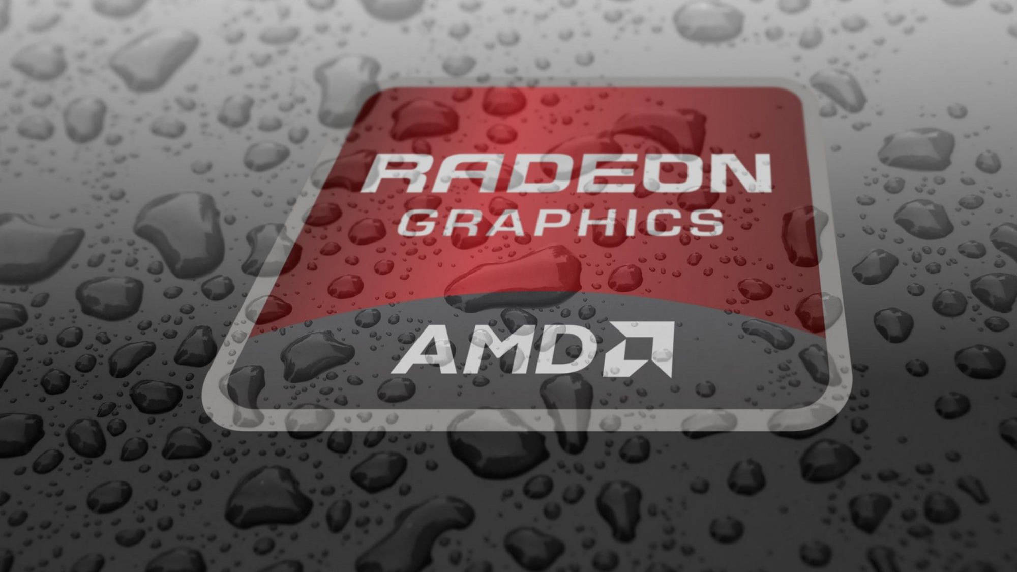 AMD 桌布 壁紙 — 一個濕透的AMD Radeon Graphics標誌，水滴在其紅色和灰色表面上閃閃發光。