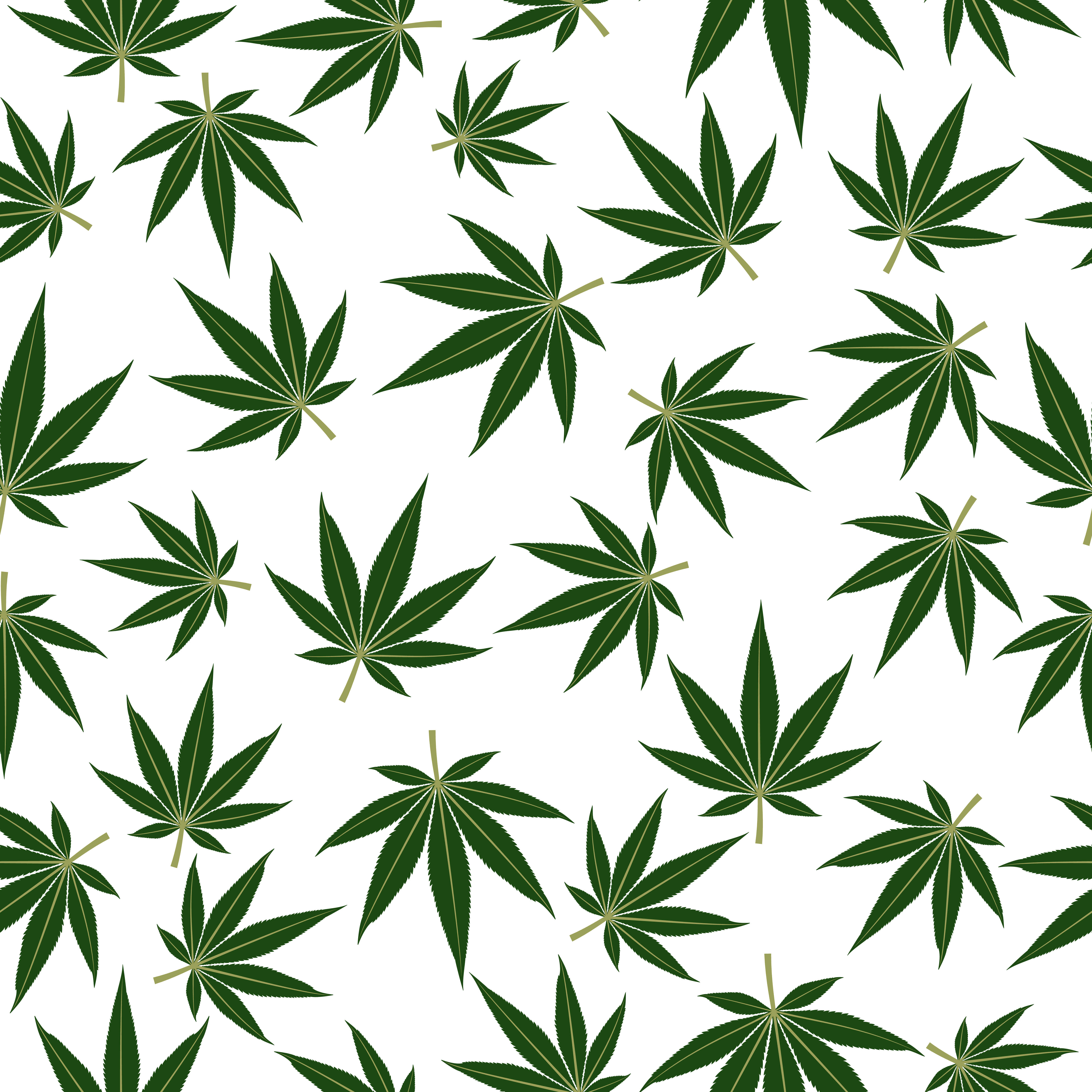 Marijuana Leaf 桌布 壁紙 — 一個無縫圖案，深綠色大麻葉散落在潔白背景上。