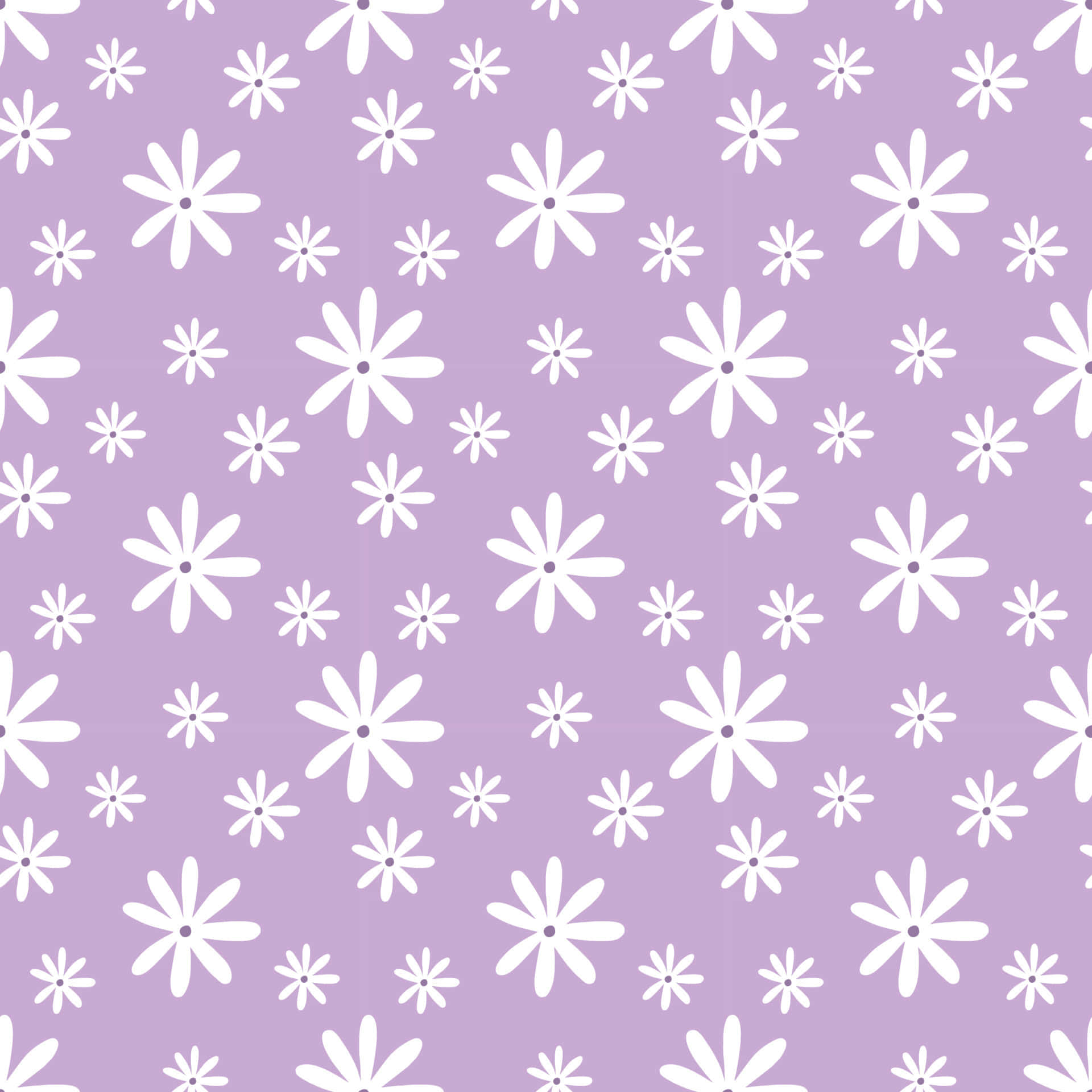 Daisies 桌布 壁紙 — 一個無縫圖案，白色雛菊狀花朵散落在柔和的薰衣草背景上。