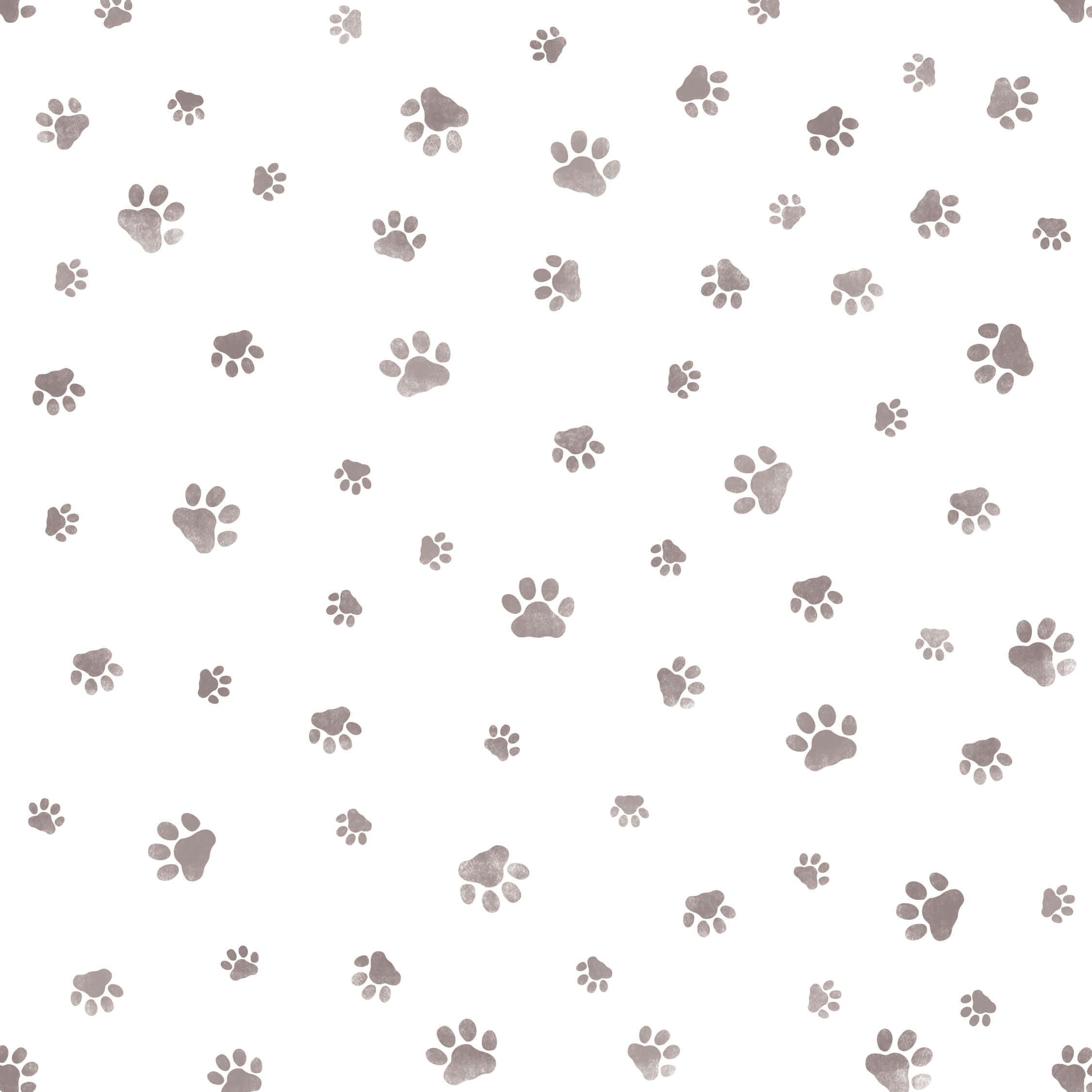 paws 桌布 壁紙 — 一個無縫的灰色爪印圖案，散佈在乾淨的白色背景上。