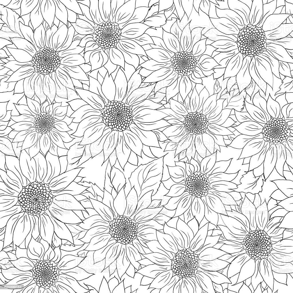 Sunflowers 桌布 壁紙 — 一個無縫的黑白線條藝術圖案，包含細節豐富的向日葵，花瓣和花心精緻複雜。