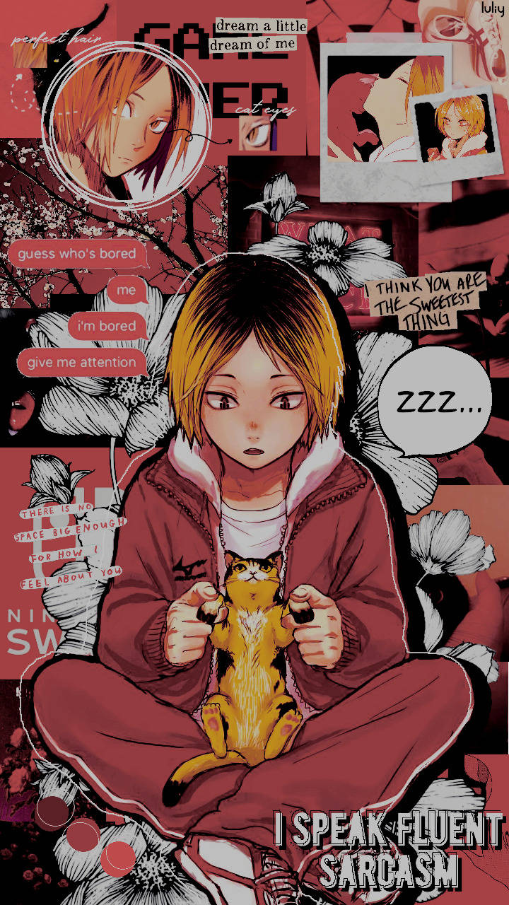 Kenma Kozume 桌布 壁紙 — 一個無聊的動漫女孩穿著紅色連帽衫盤腿而坐，抱著一隻貓，周圍環繞著花卉圖案和諷刺的文字氣泡。