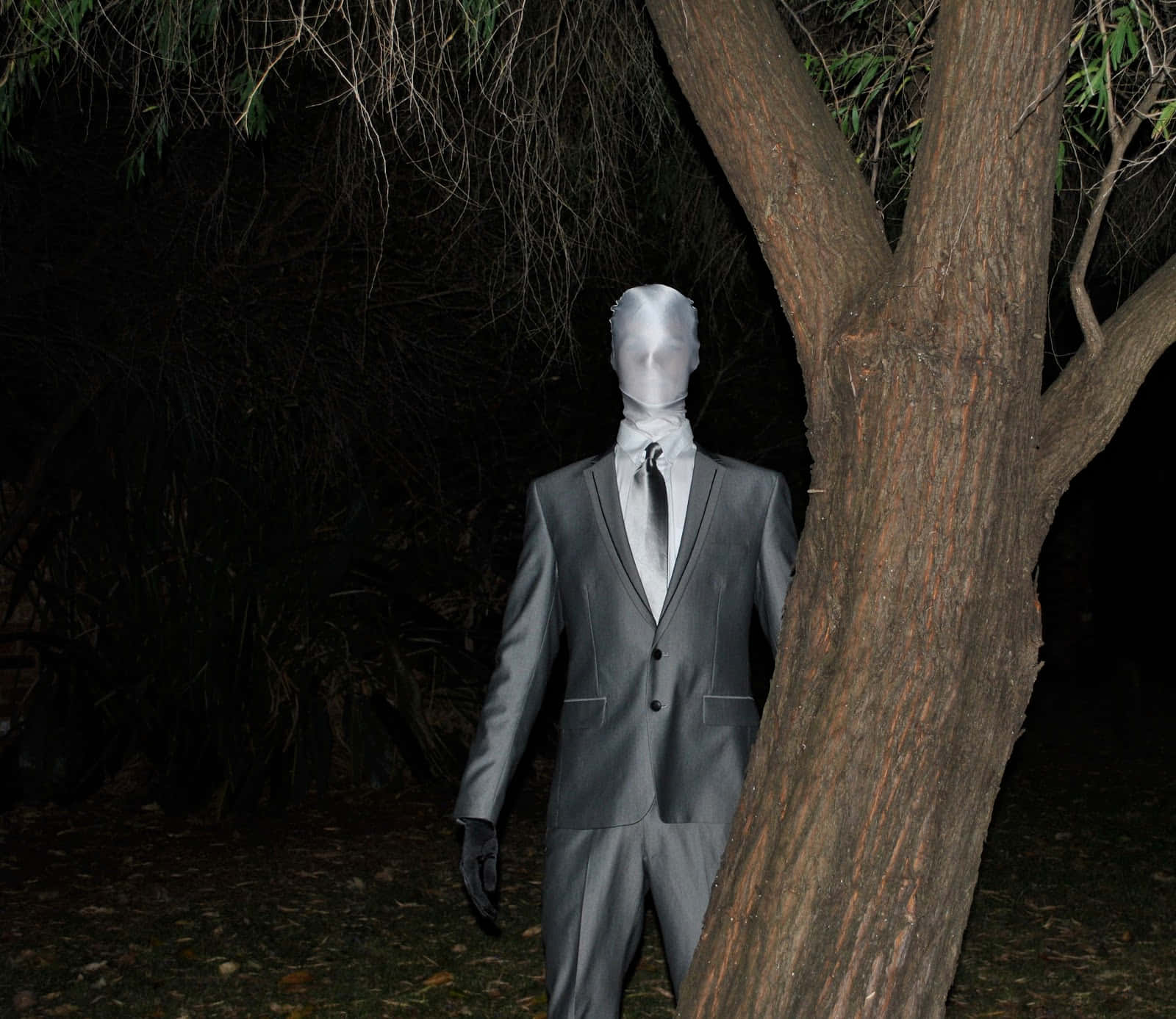 Creepypasta 桌布 壁紙 — 一個無面人形穿著灰色西裝，在黑暗夜空下稀疏的樹葉旁詭異地站在一棵樹旁。